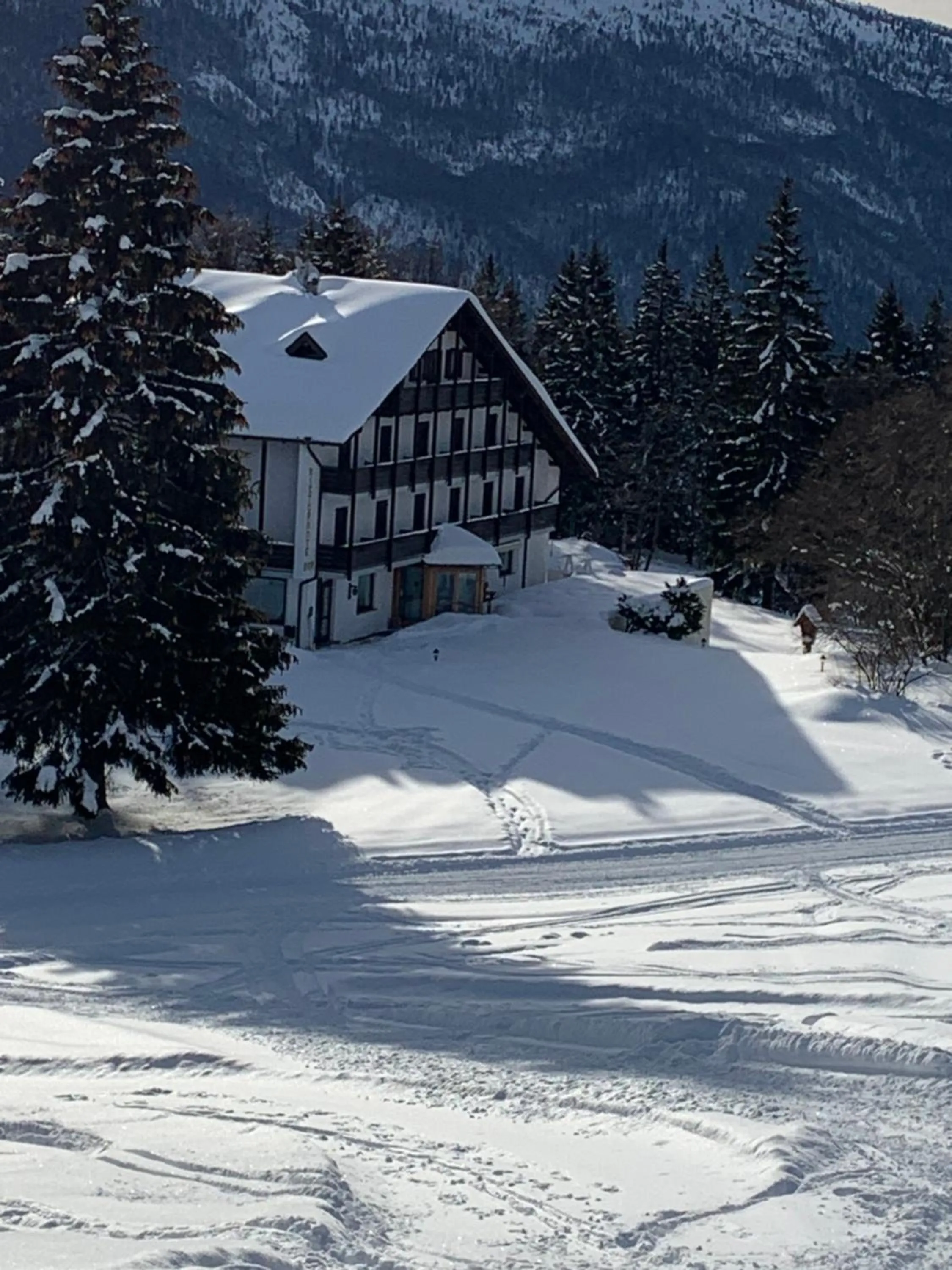 Winter in Hotel Piccola Baita