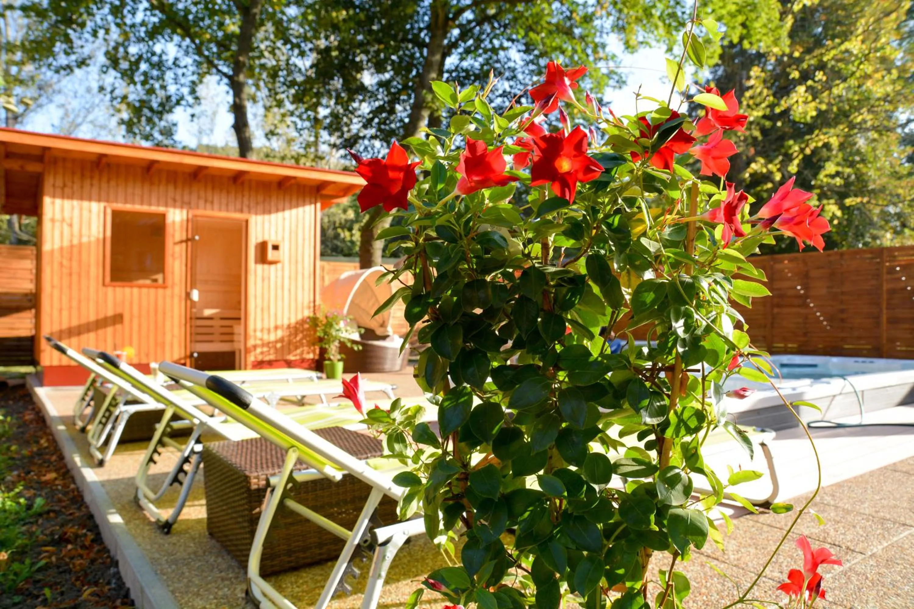 Open Air Bath in Hotel Lukács Superior