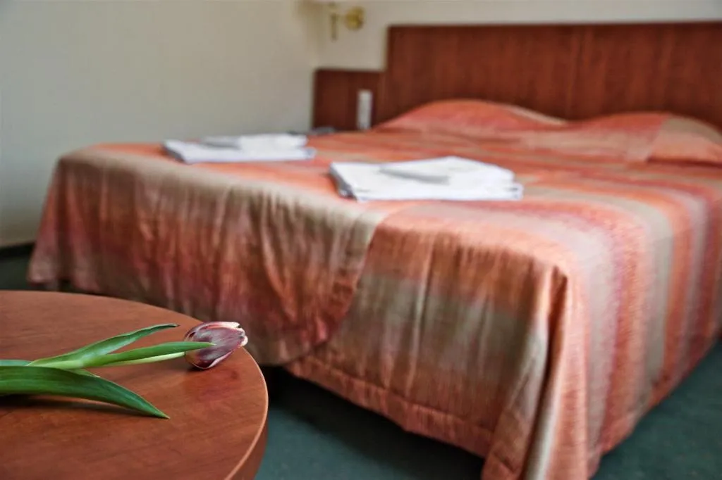 Bed in Hotel Lukács Superior