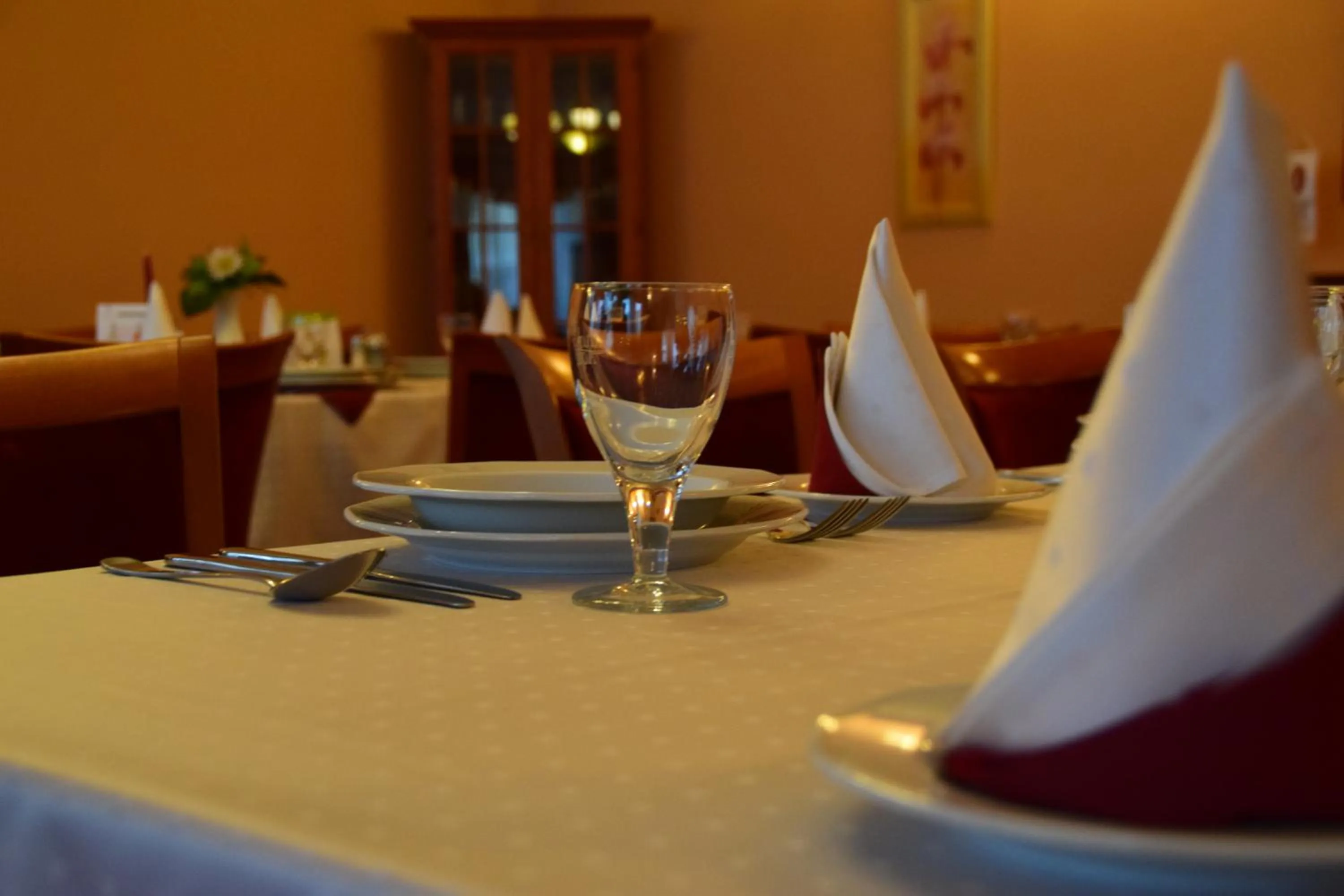 Restaurant/places to eat in Hotel Lukács Superior