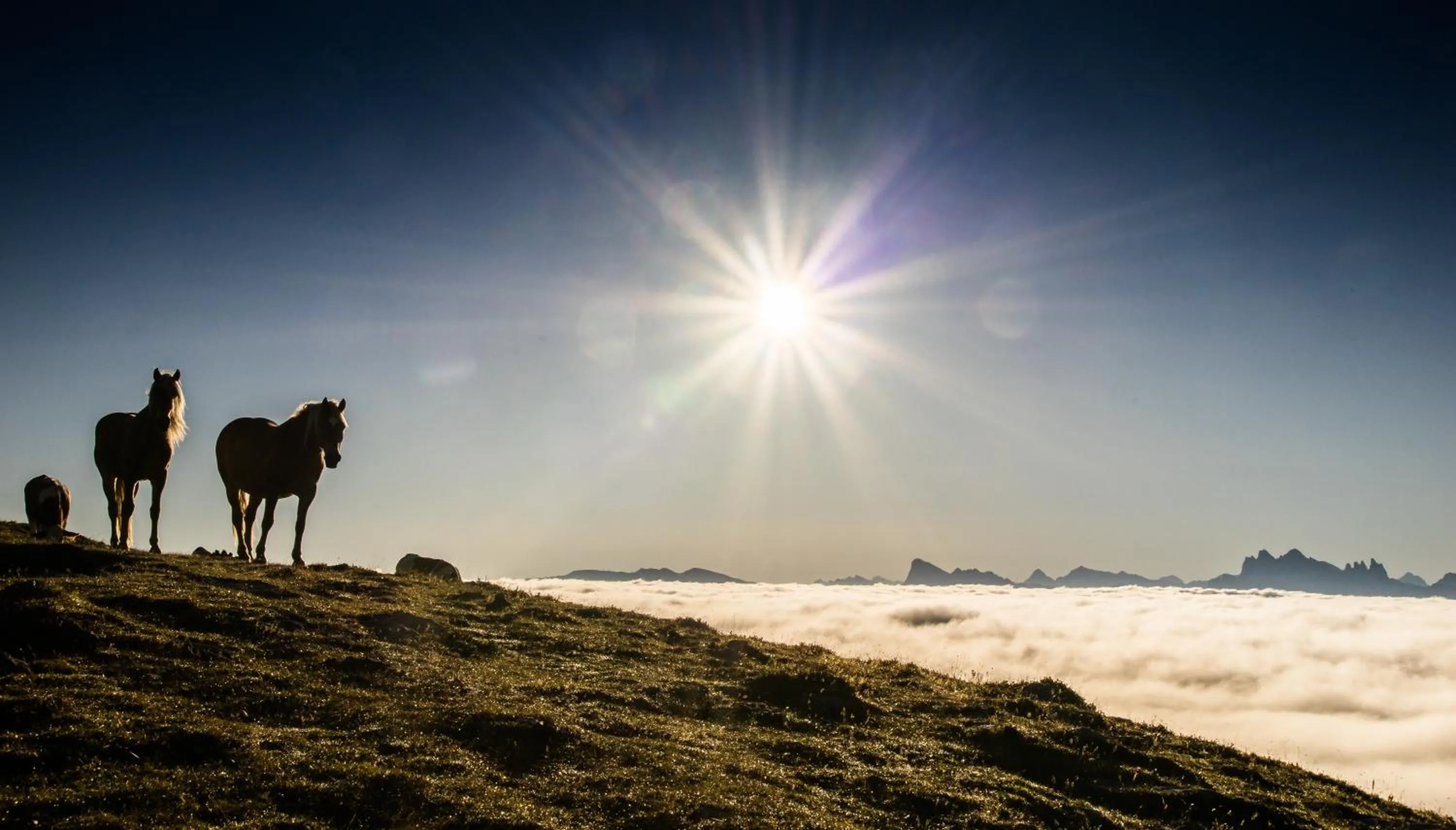 Natural landscape in Hotel Residence Gasser