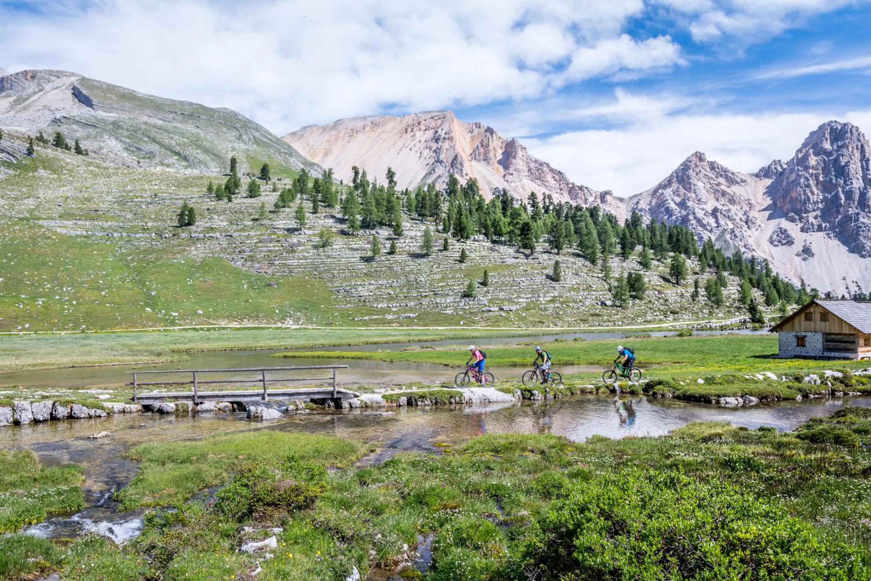 Natural landscape in Hotel Erika