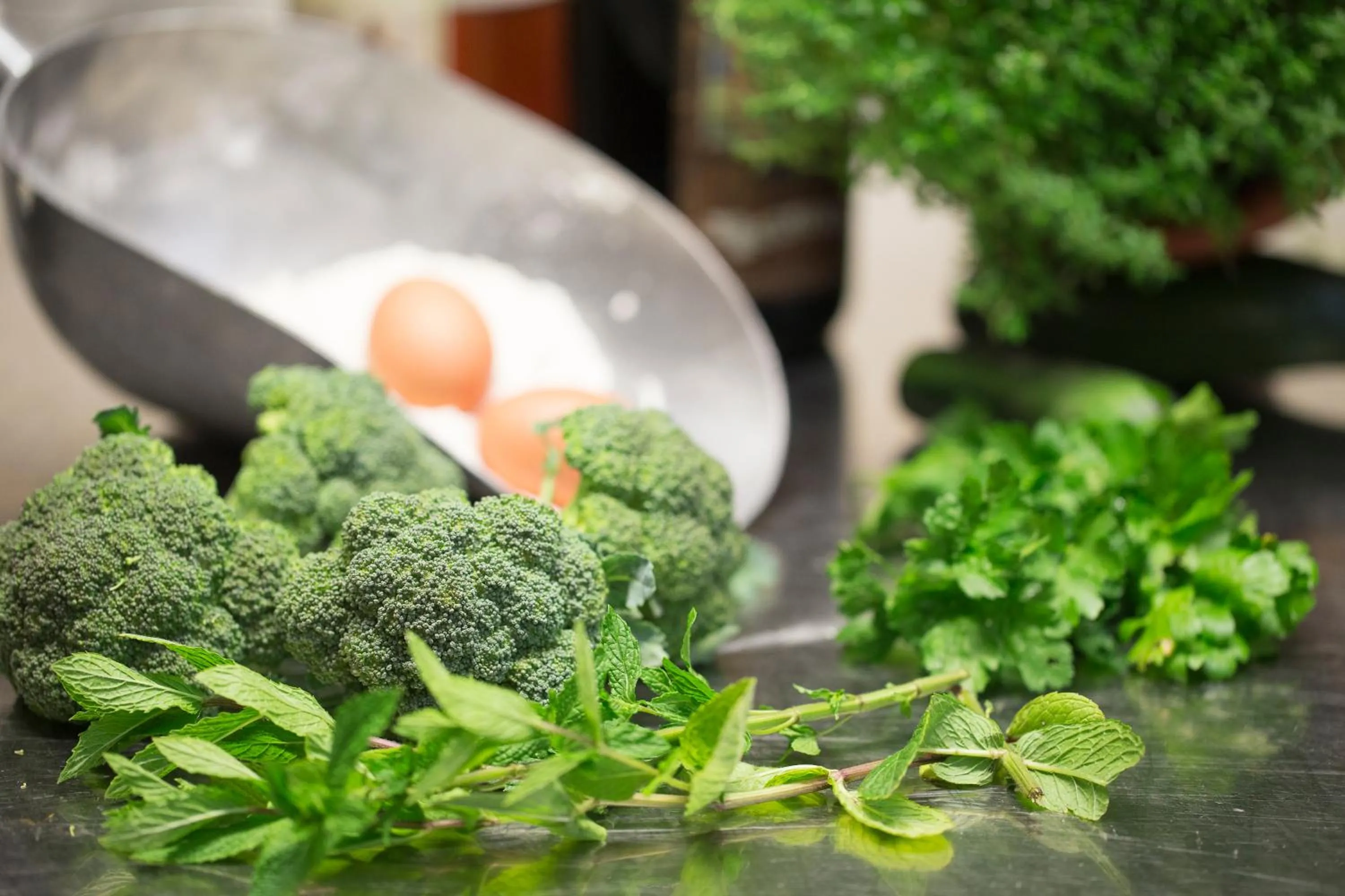 Food and drinks in Hotel Erika