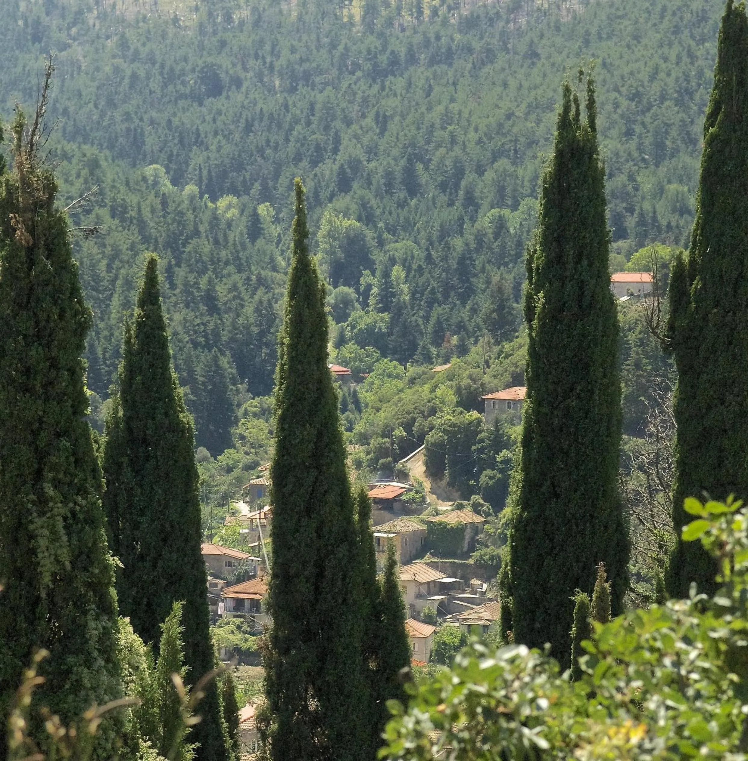 Nearby landmark in Pritanio