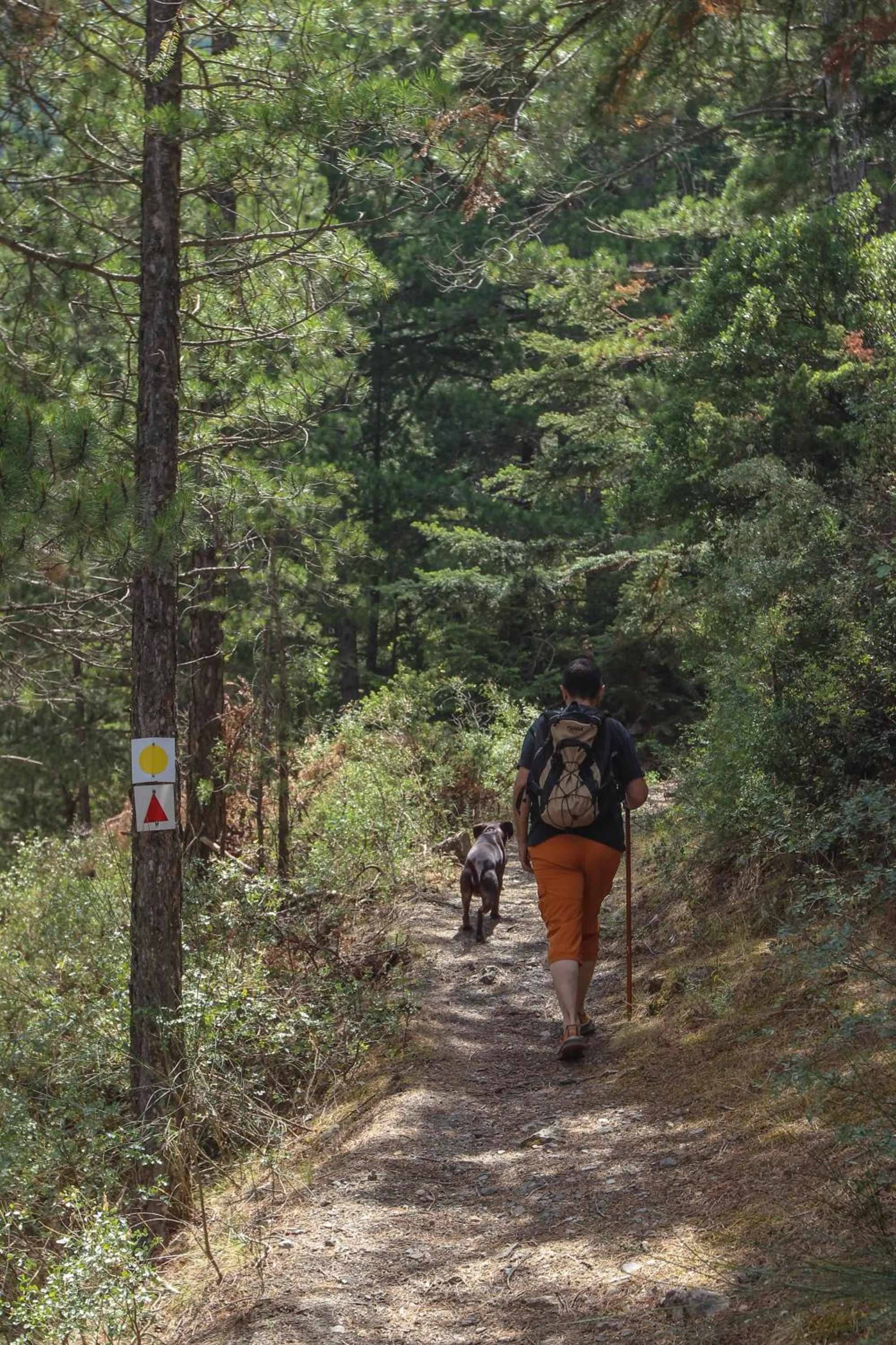 Nearby landmark in Pritanio