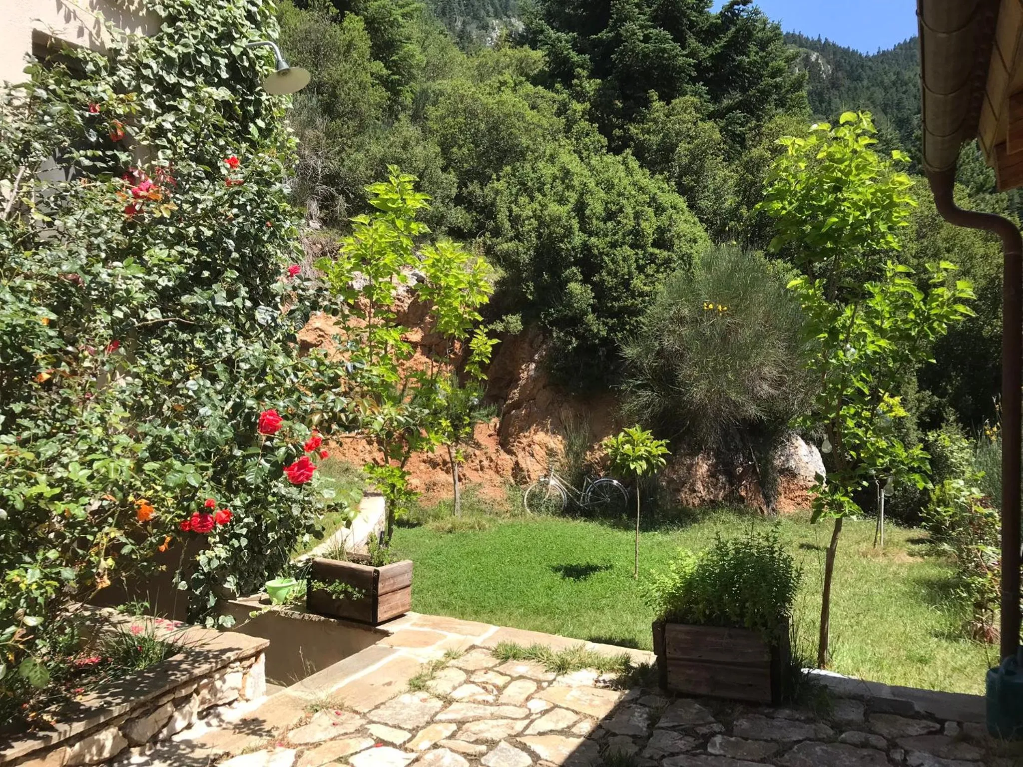 Garden in Pritanio