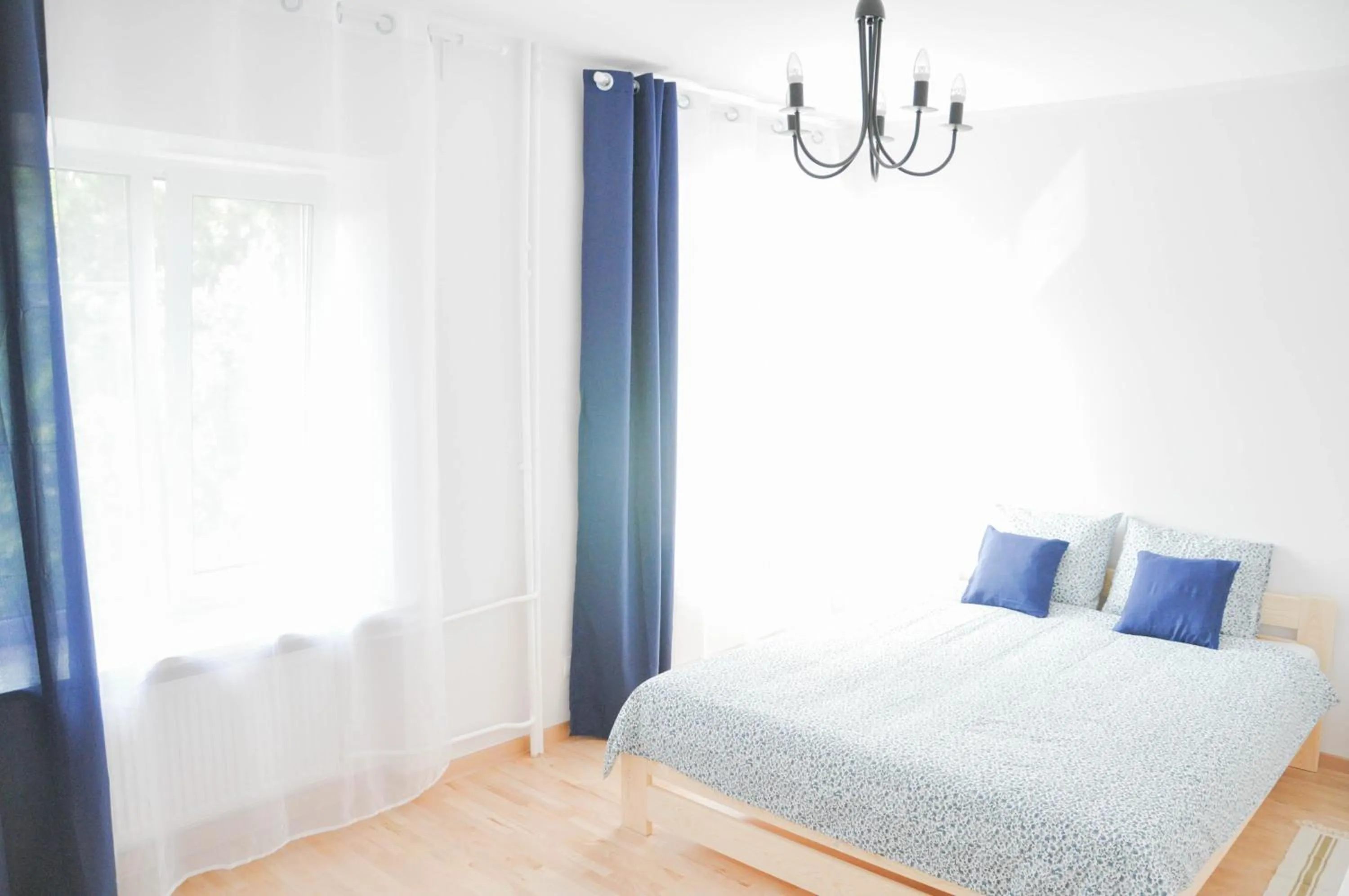 Bed in HaLo Rooms City Centre