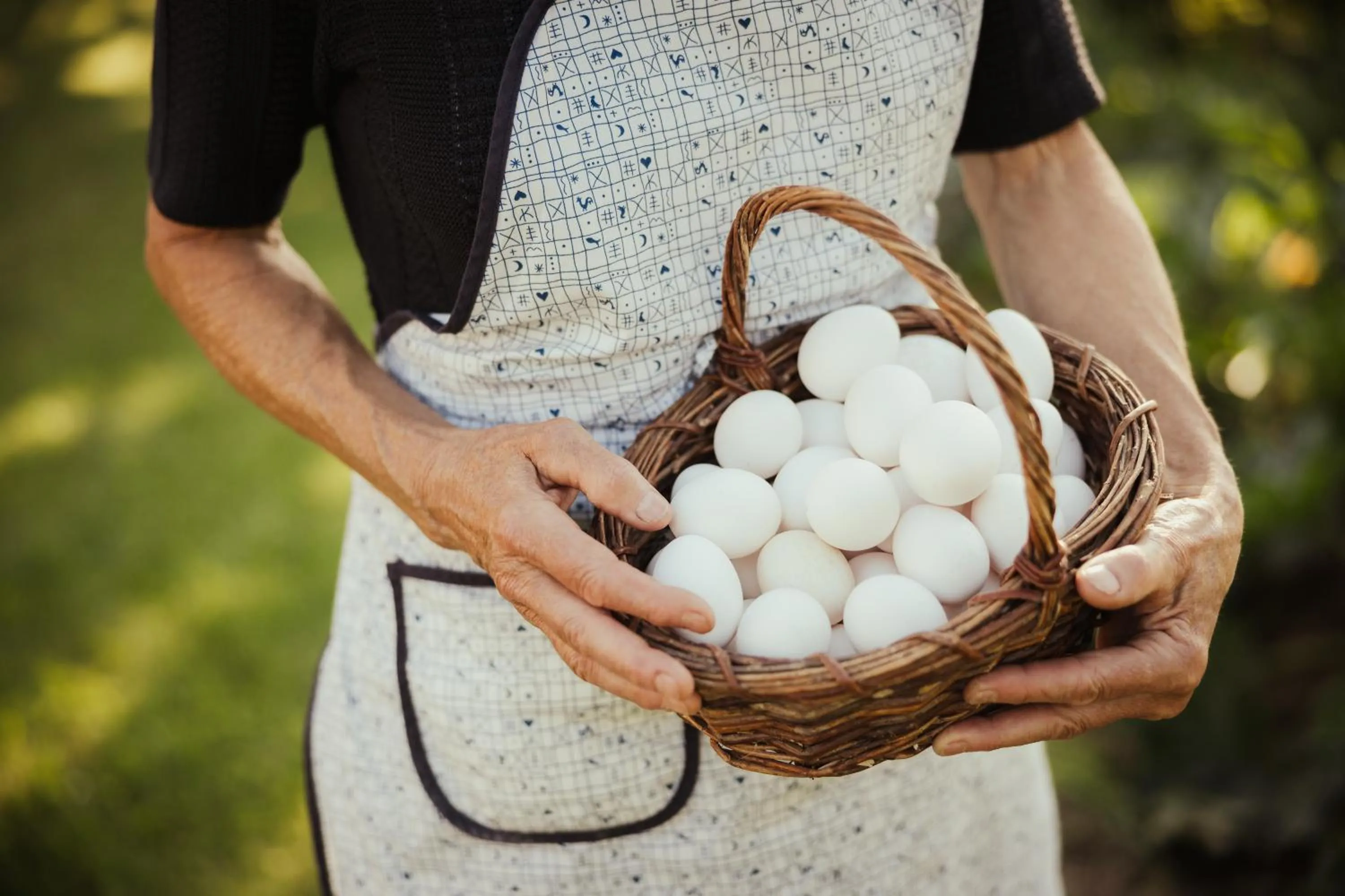 Day in Hotel Mareo Dolomites