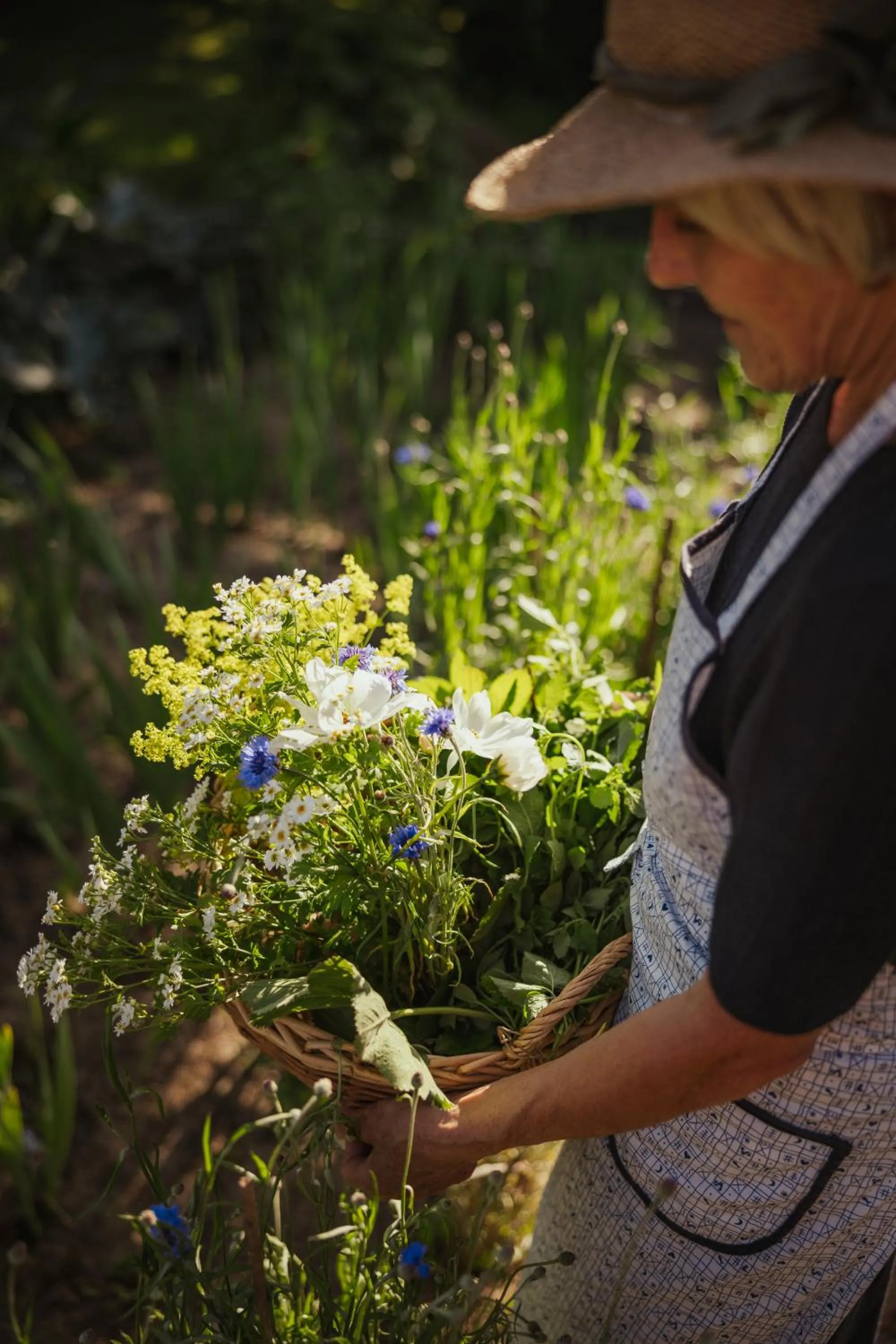 Day in Hotel Mareo Dolomites