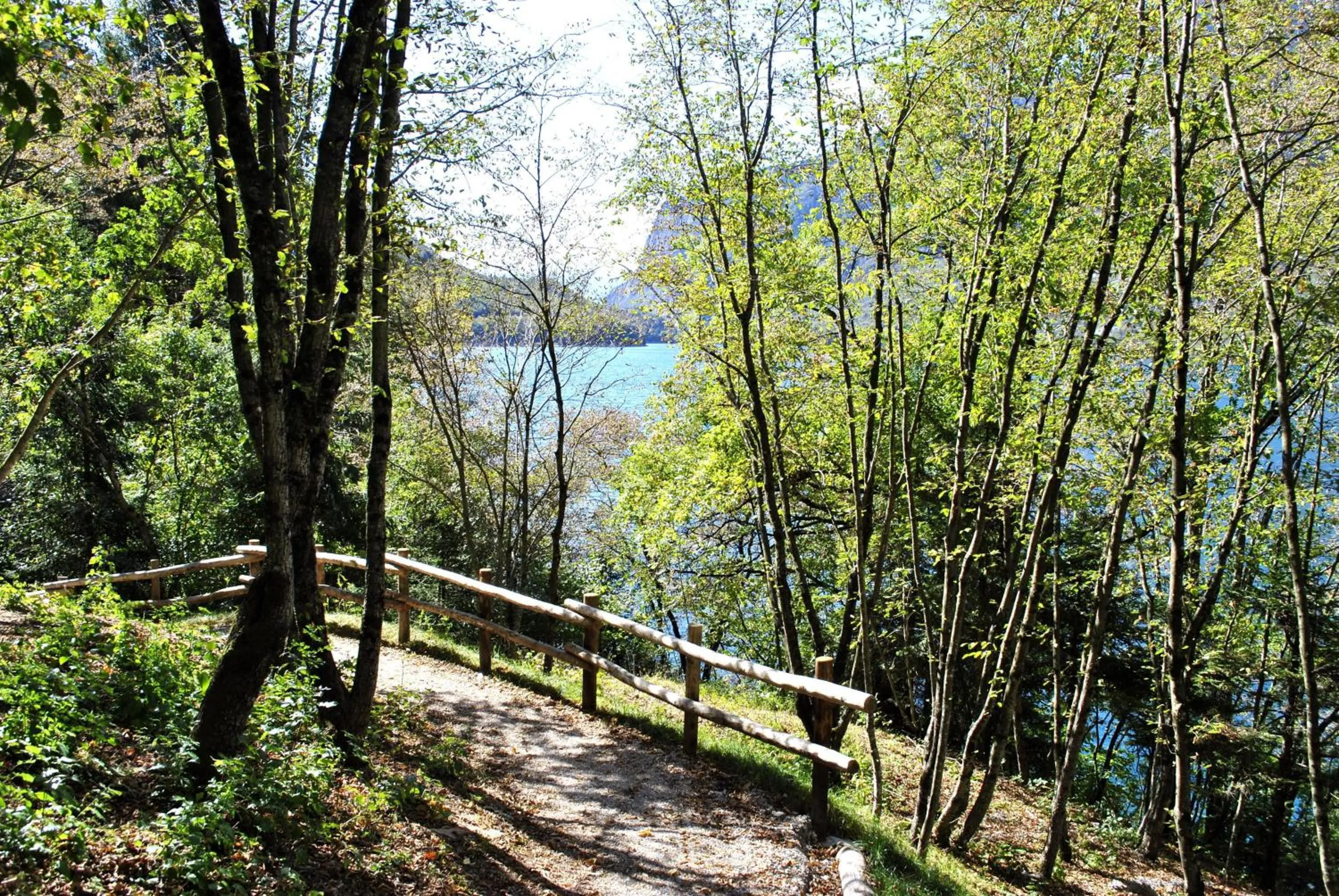 Hiking in Hotel Zurigo