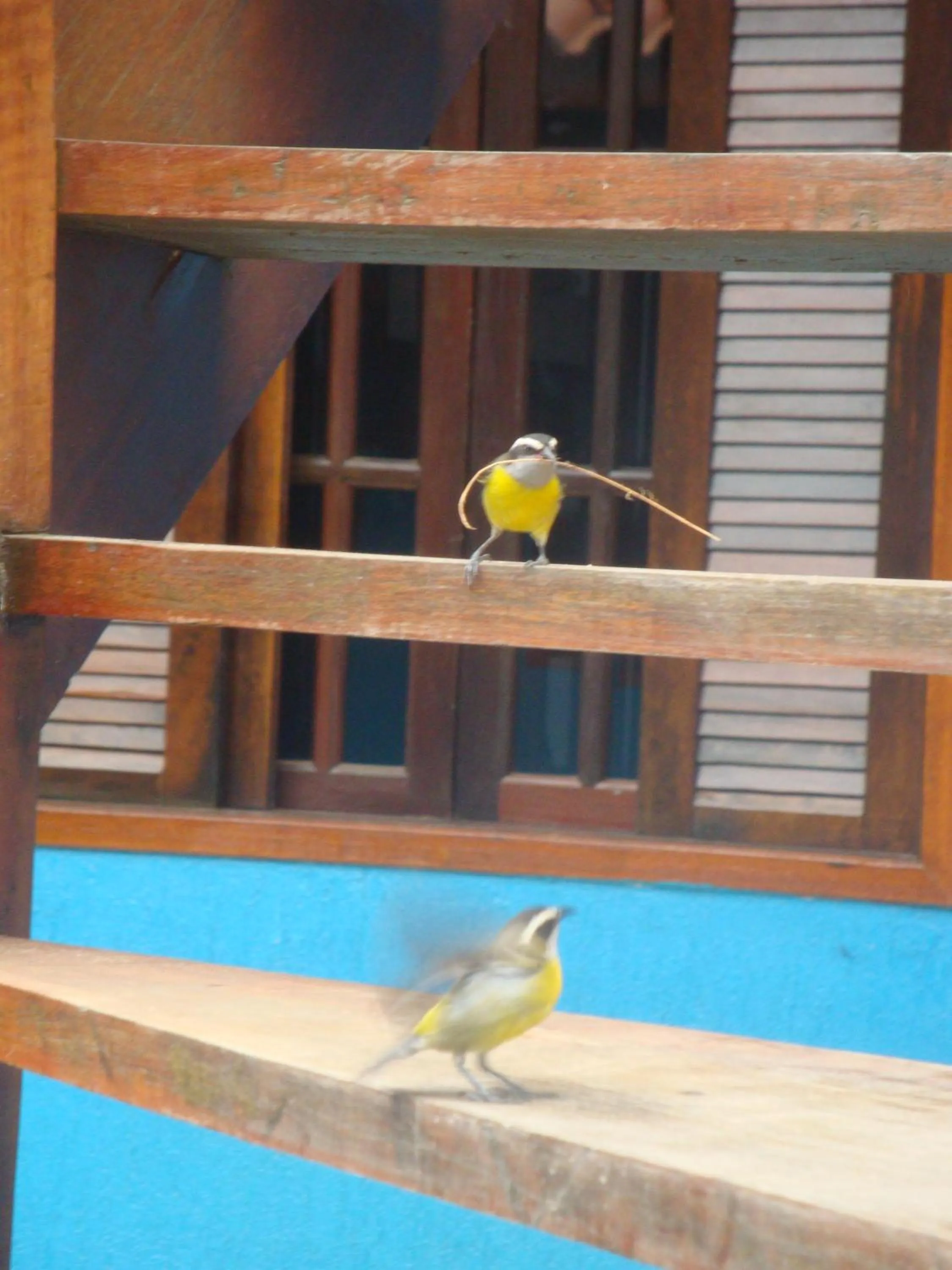 Other in Pousada Bugio