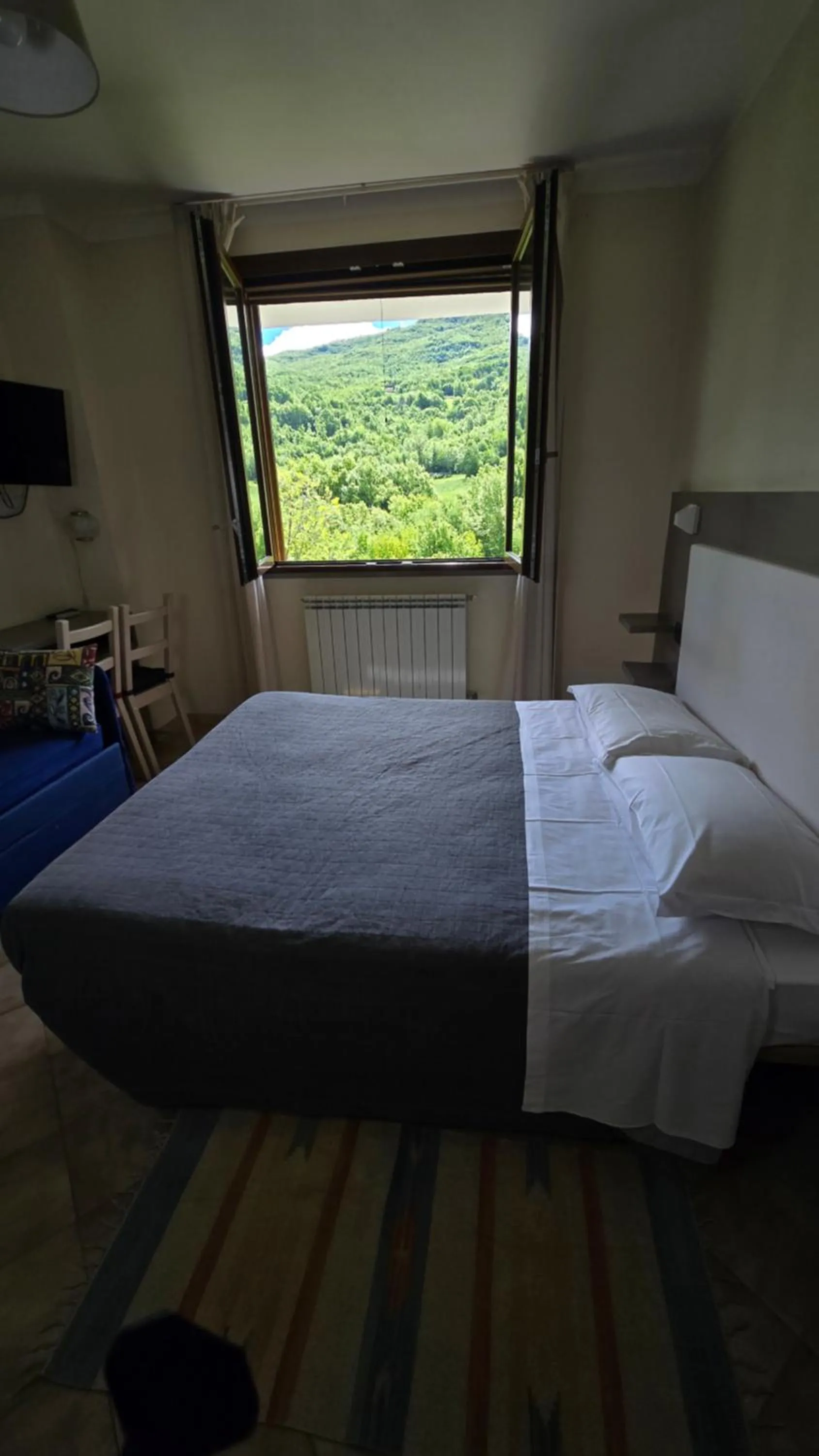 Double or Twin Room - single occupancy in Albergo Lago Verde