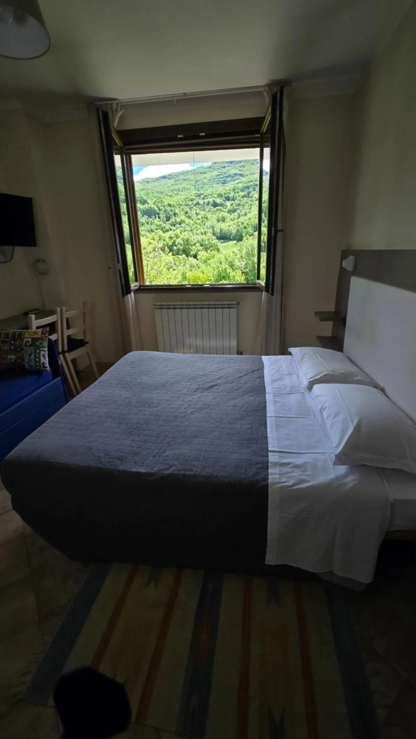 Double or Twin Room - single occupancy in Albergo Lago Verde Double or Twin Room - single occupancy in Albergo Lago Verde