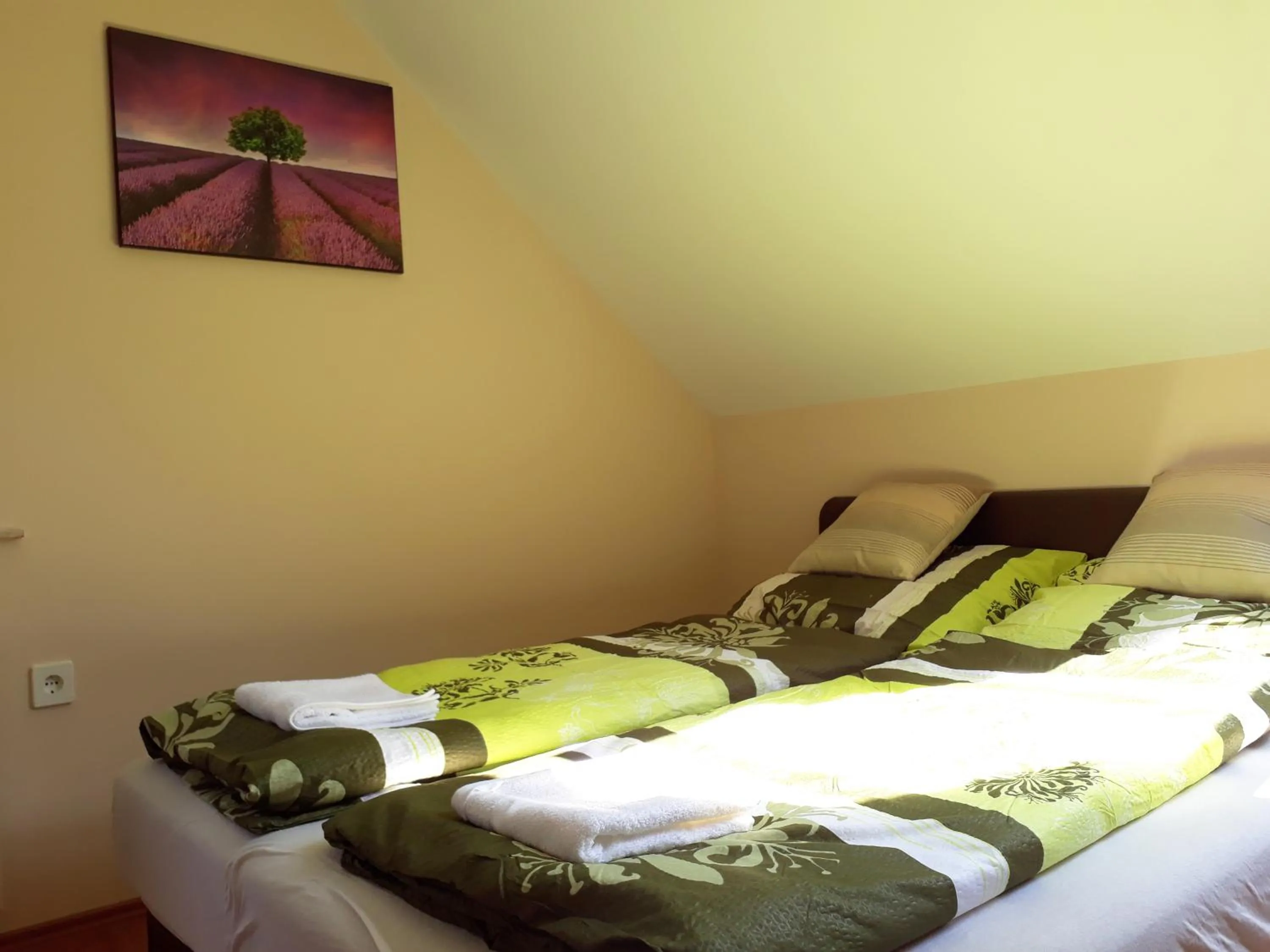 Bed in Hőforrás Wellness Vendégház