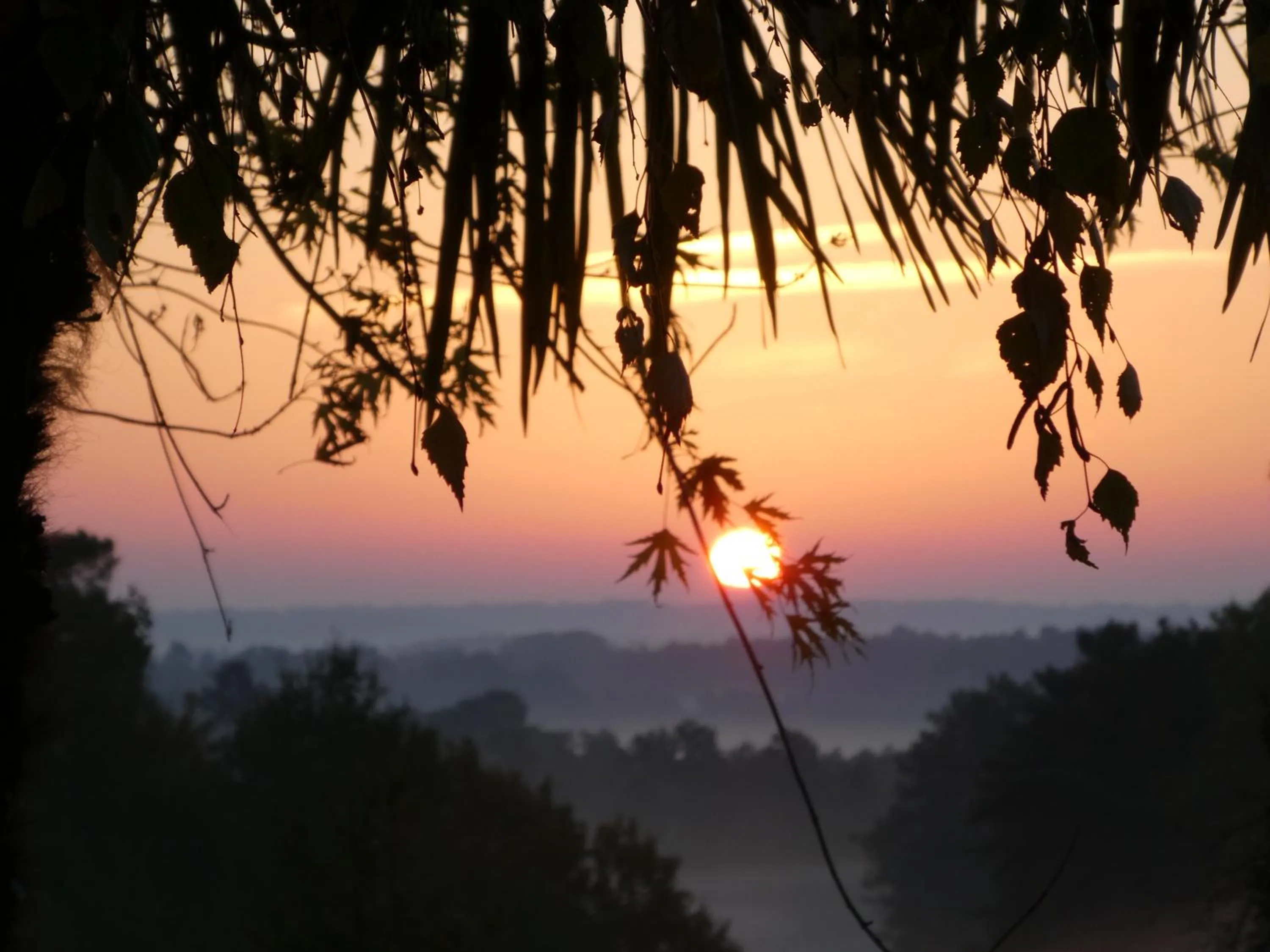 Natural landscape in Les chambres du Ladoux