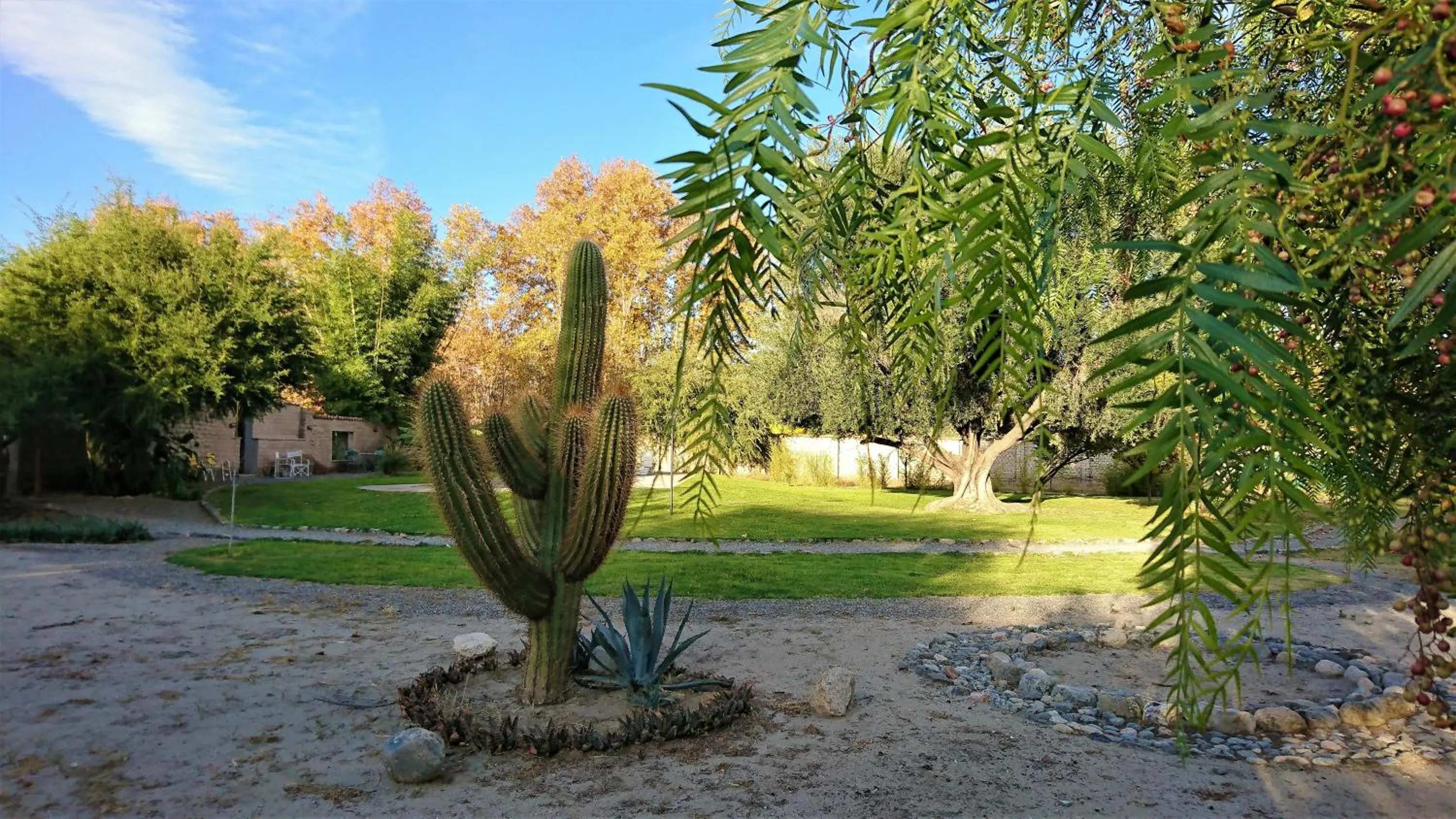 Garden view in Vieja Posada Hotel Histórico