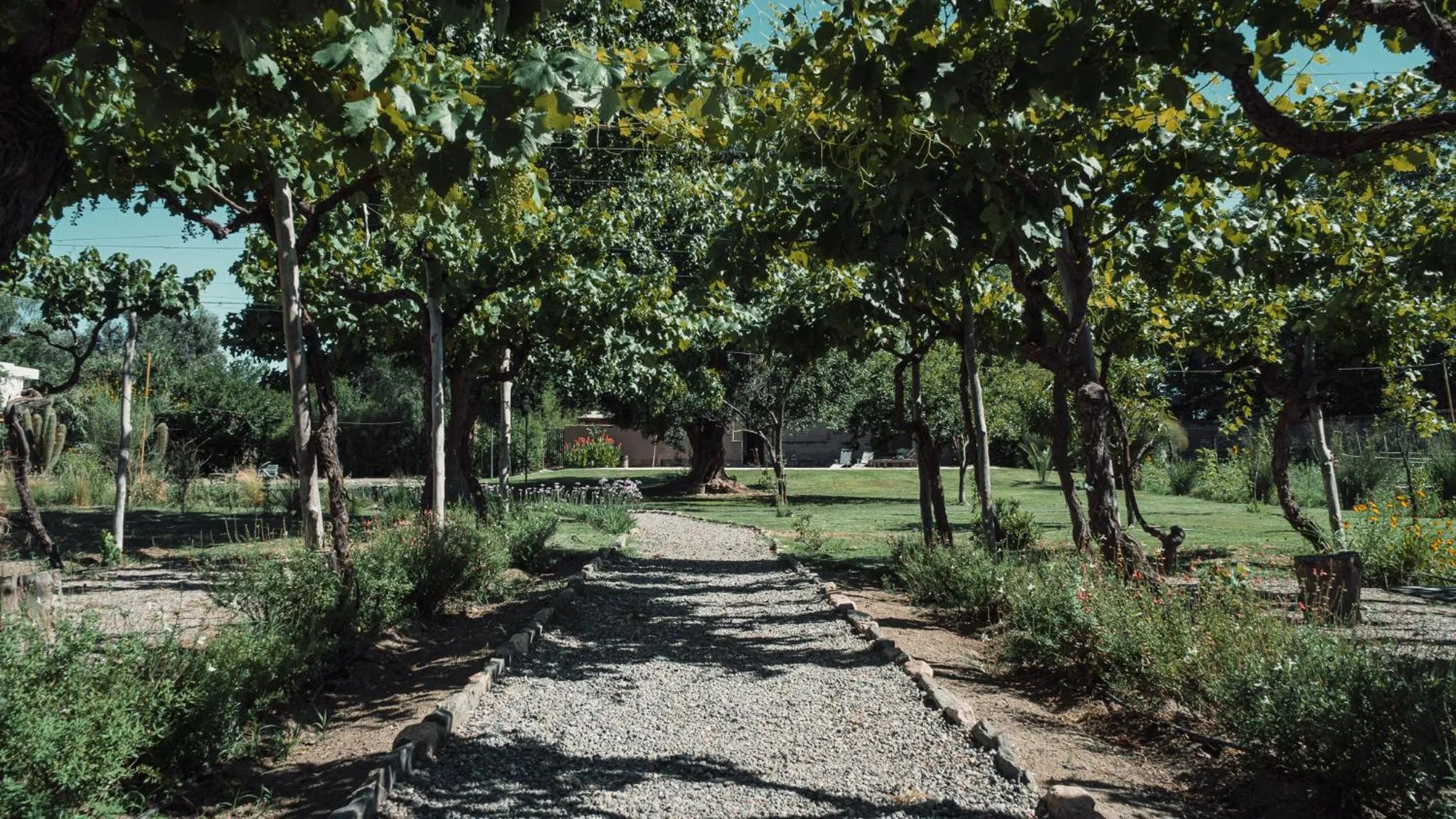 Spring in Vieja Posada Hotel Histórico