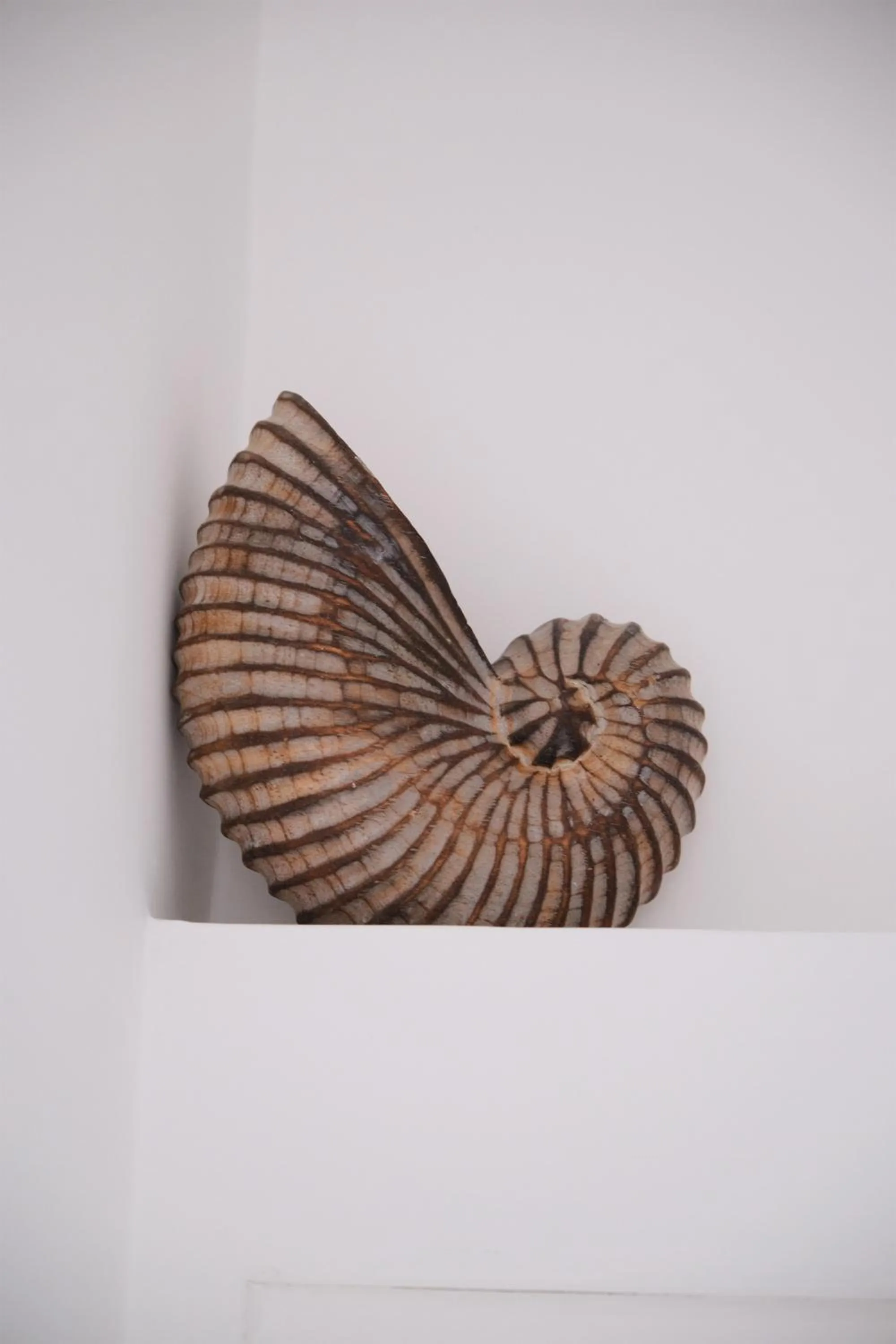 Decorative detail in Pharus Miseni Suites and rooms