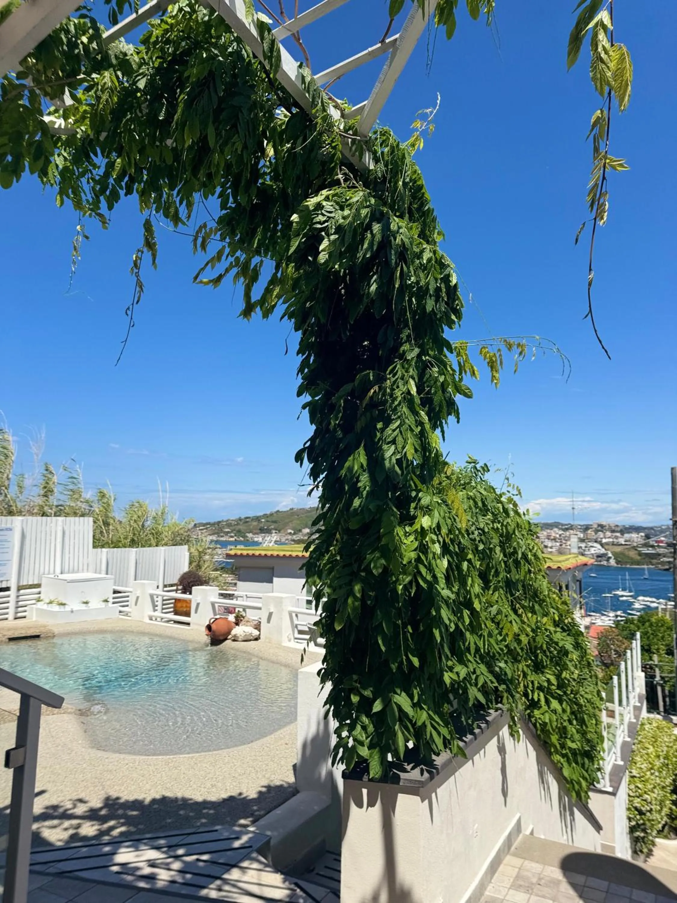 Swimming pool in Pharus Miseni Suites and rooms