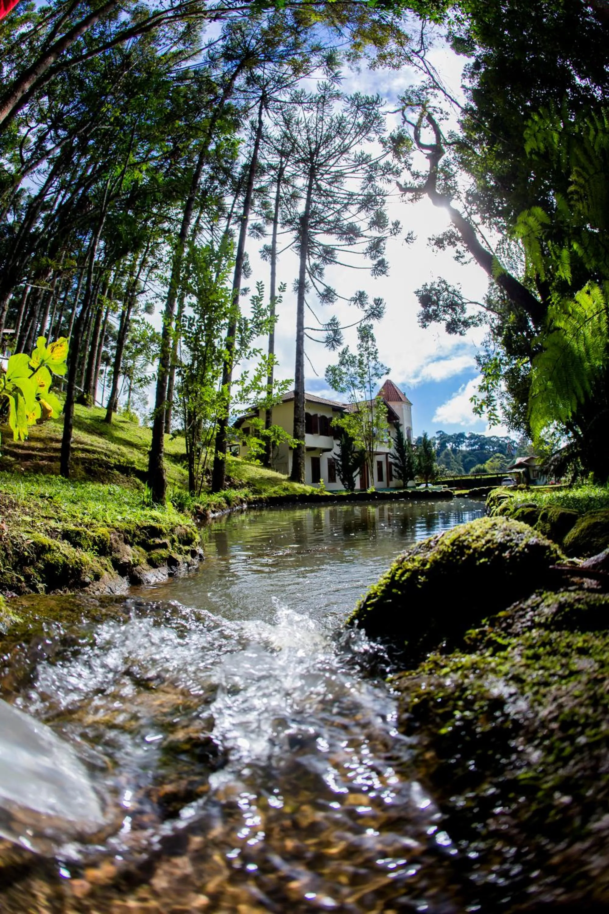 Natural landscape in Pousada Vida Verde