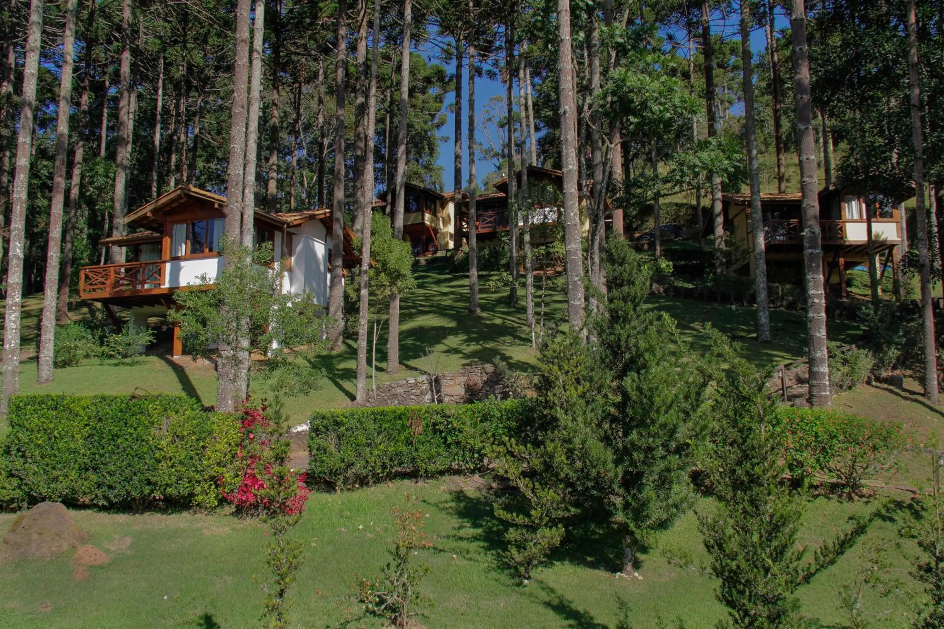 Photo of the whole room in Pousada Vida Verde
