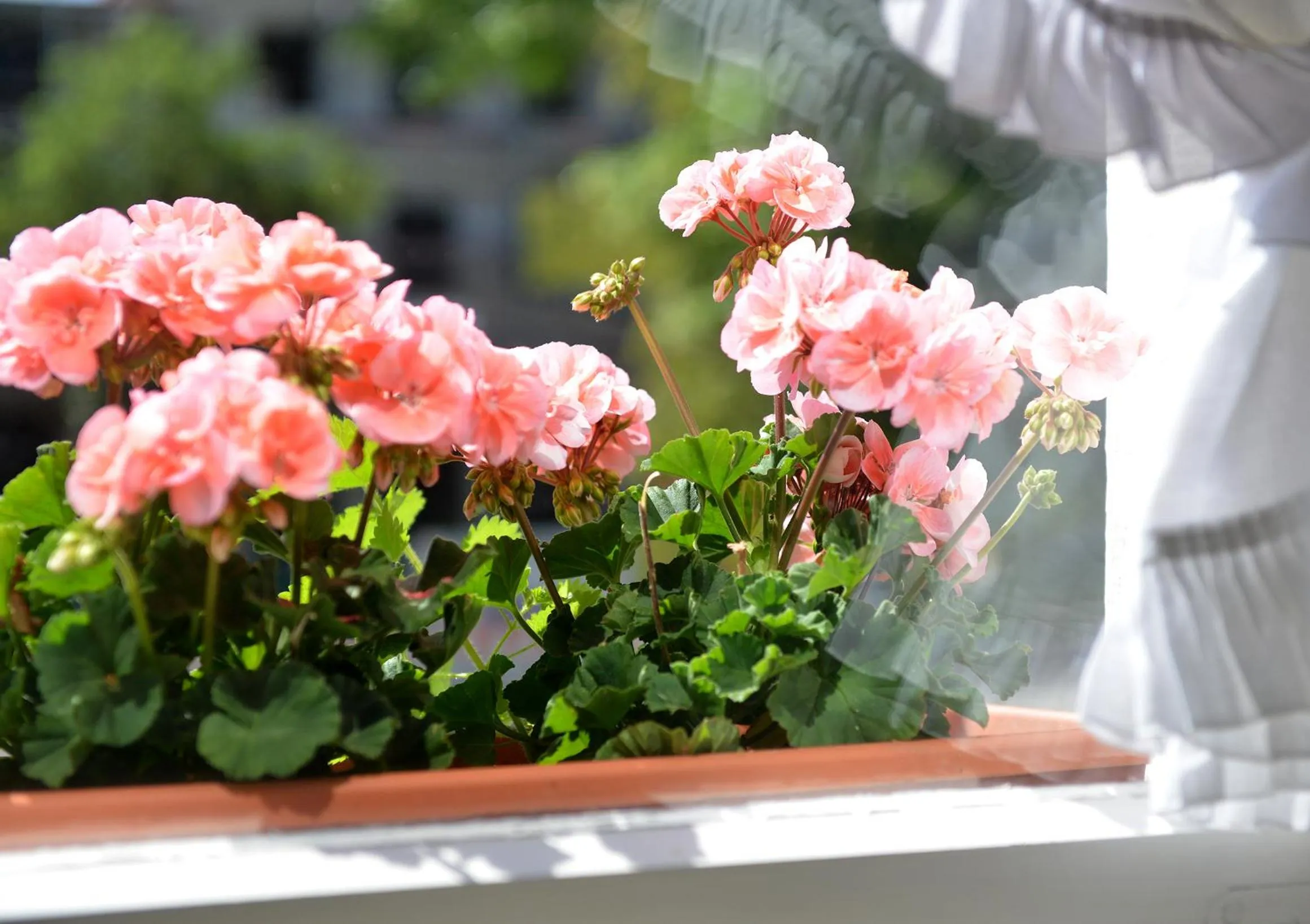 Property building in Hotel Bezold