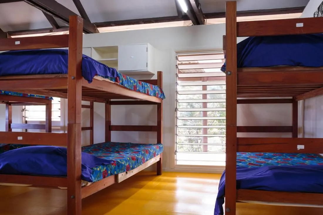 bunk bed, Bed in Funky Fish Beach & Surf Resort