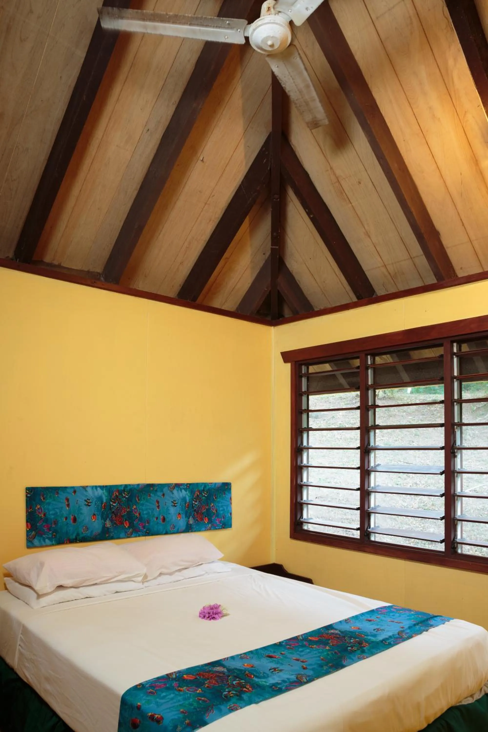 Property building, Bed in Funky Fish Beach & Surf Resort