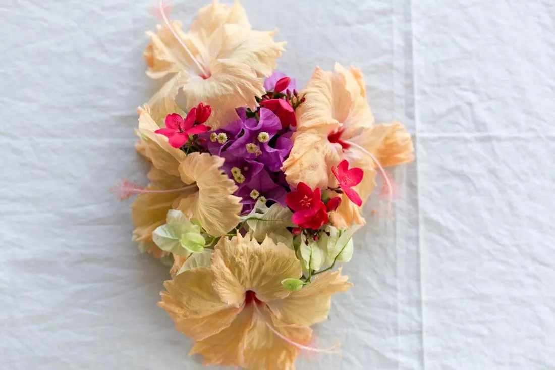 Other in Funky Fish Beach & Surf Resort