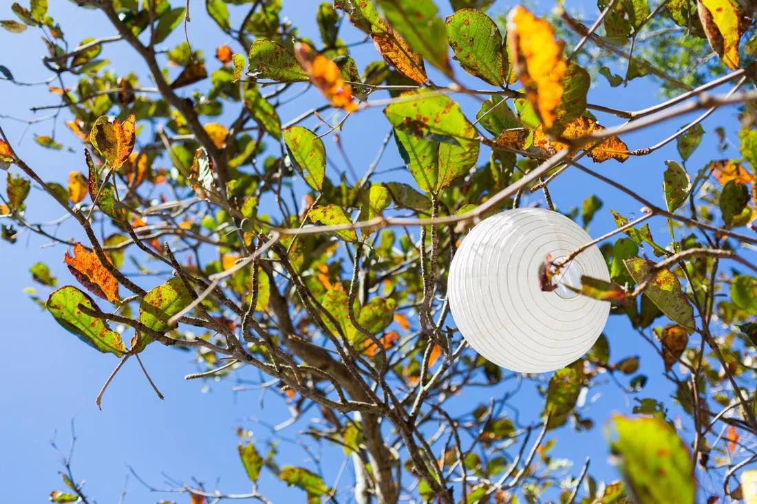 Other in Funky Fish Beach & Surf Resort