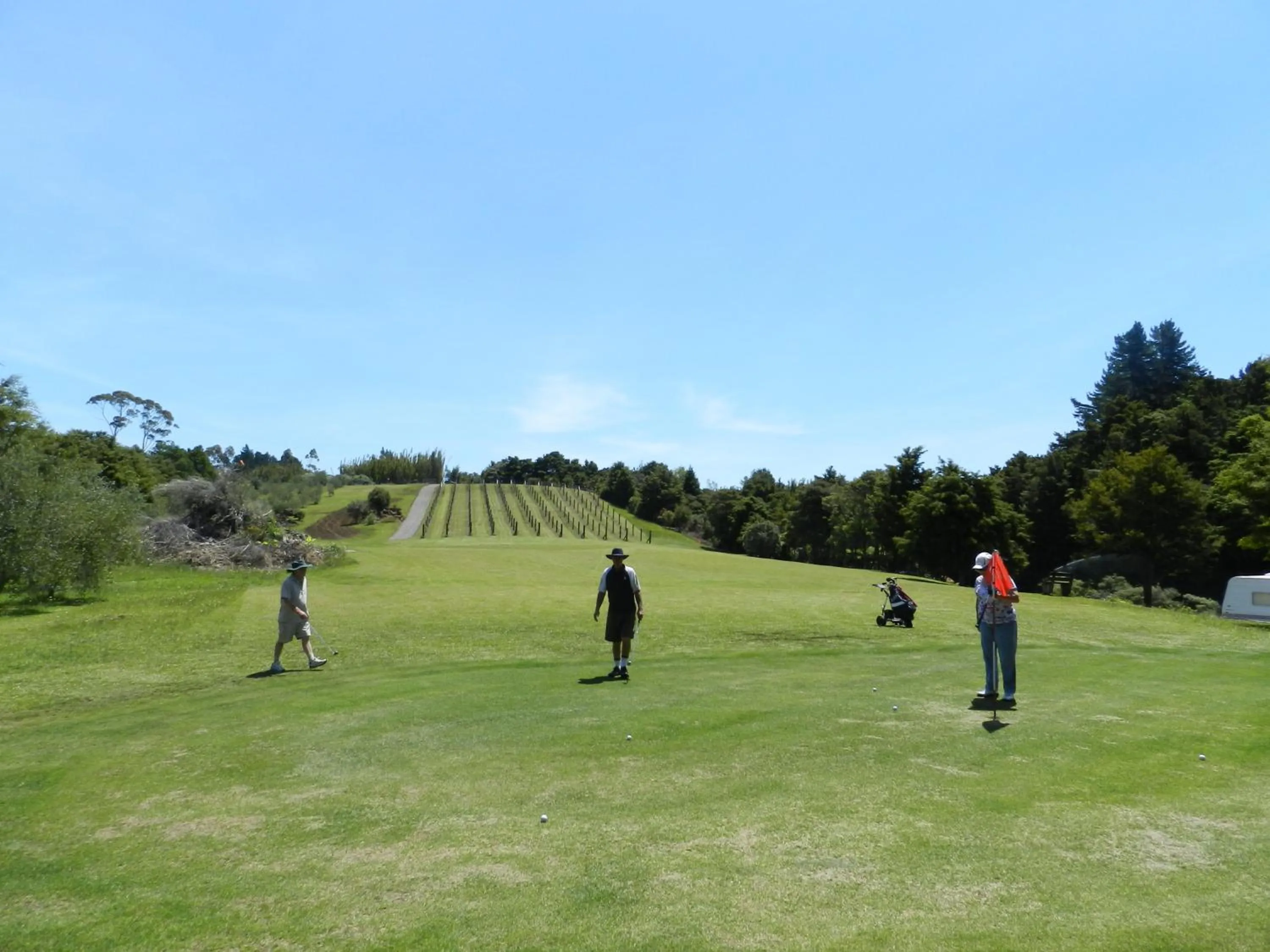 Golfcourse in Puketotara Lodge