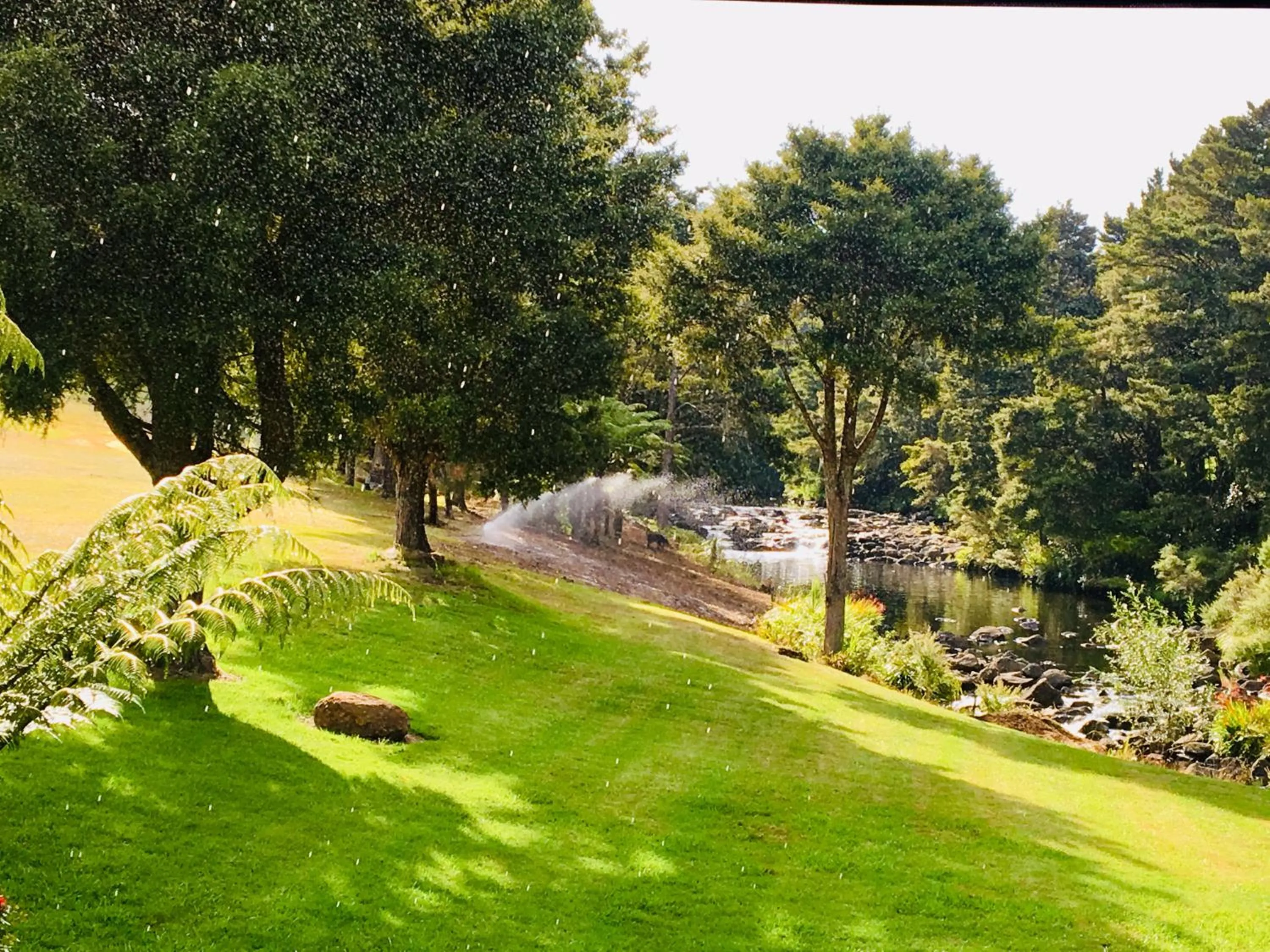 Natural landscape in Puketotara Lodge