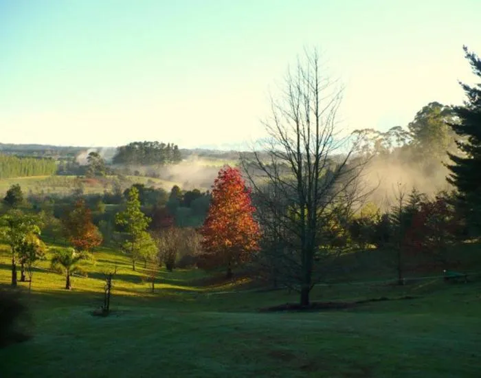 Garden view in Puketotara Lodge