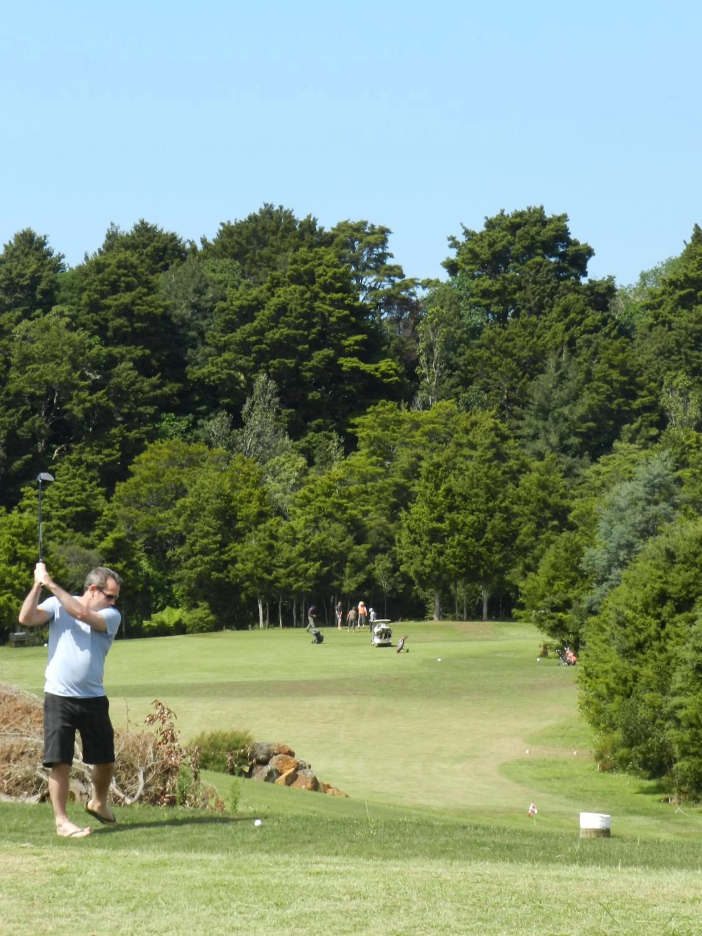 Golfcourse in Puketotara Lodge