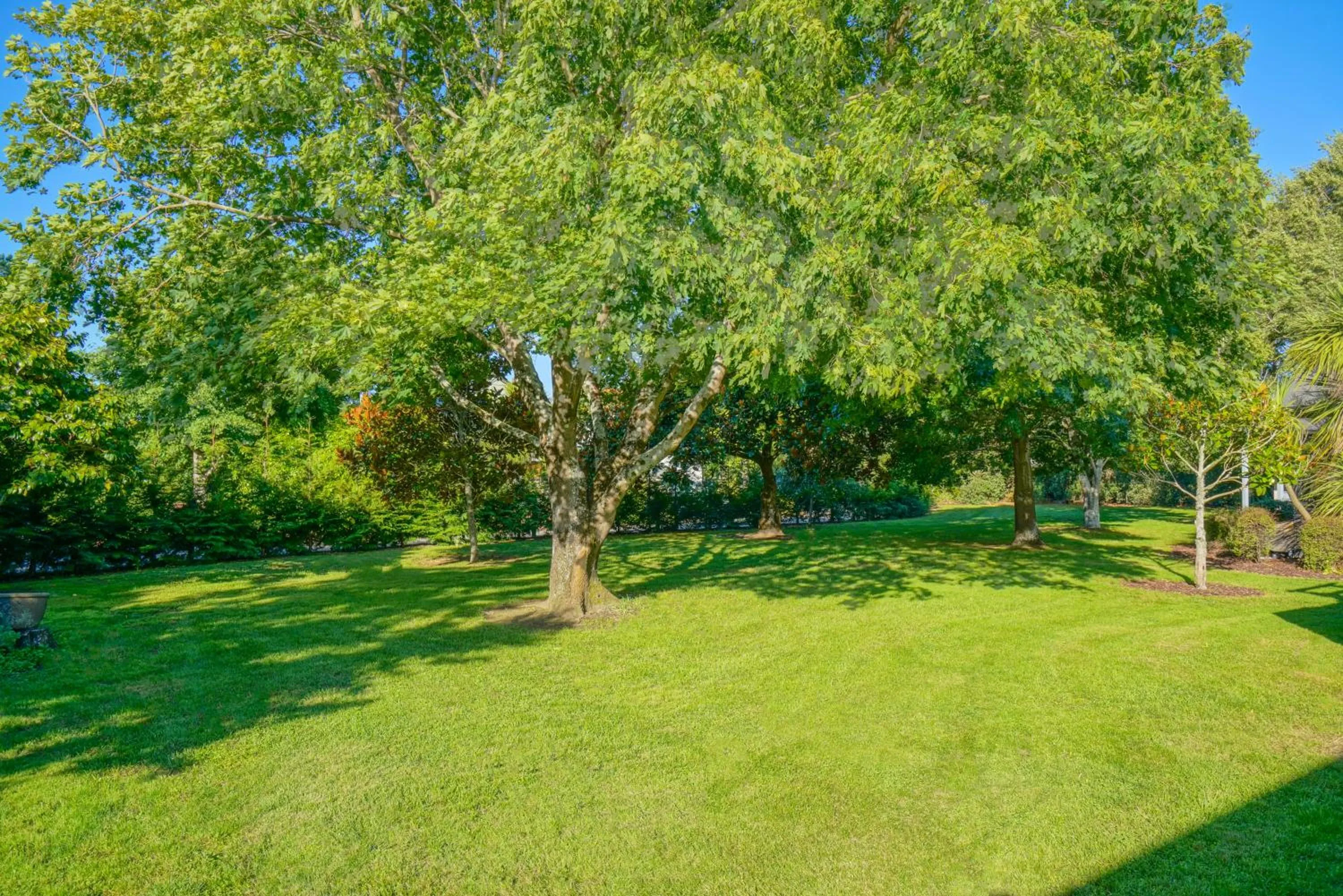 Garden in Parehua Resort