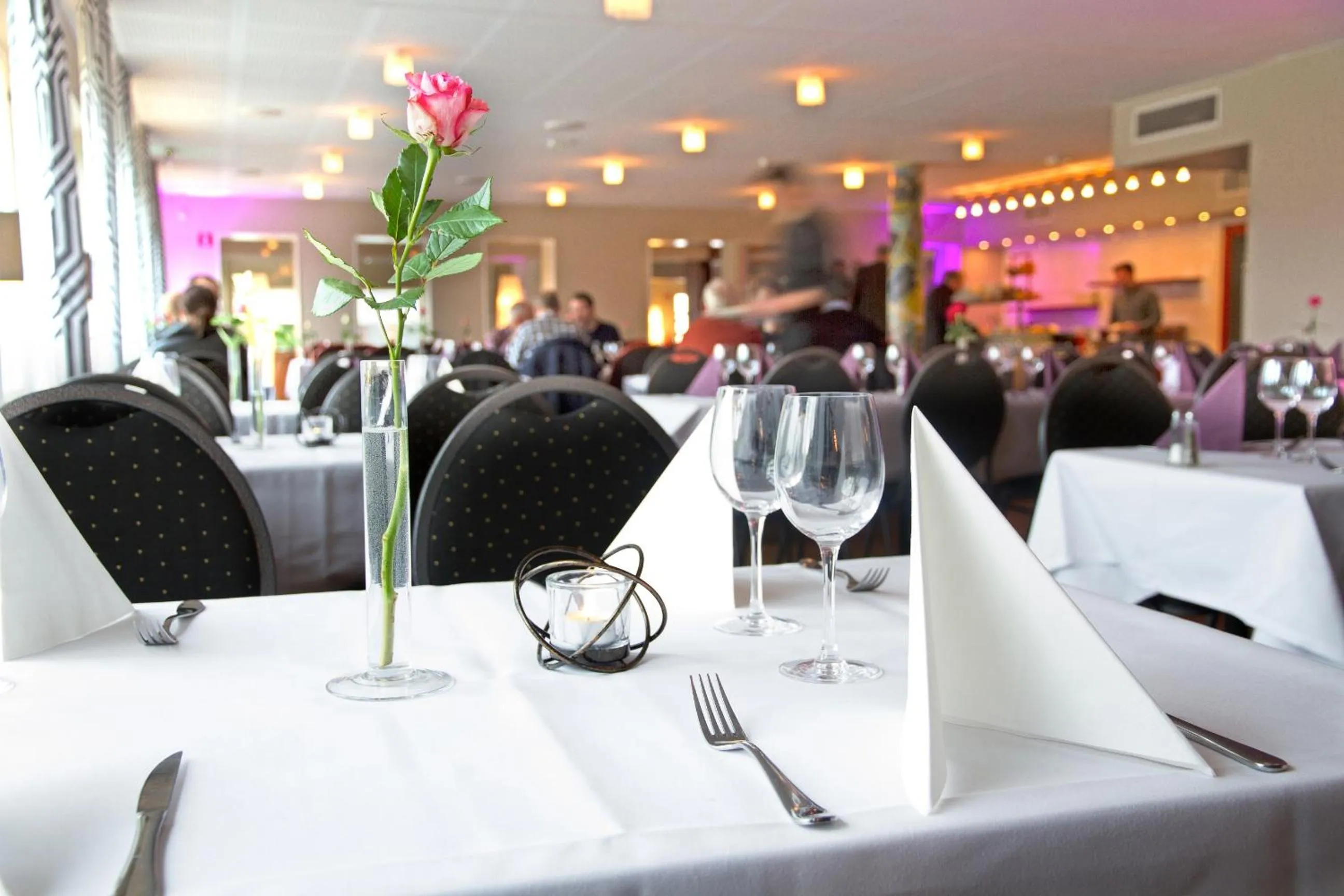 Dinner in Hotell Åsen