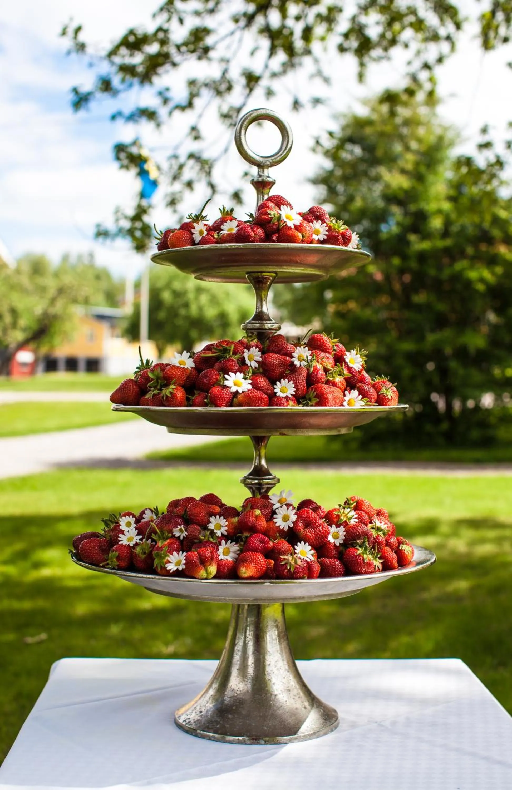 Summer in Bjurfors Hotell & Konferens