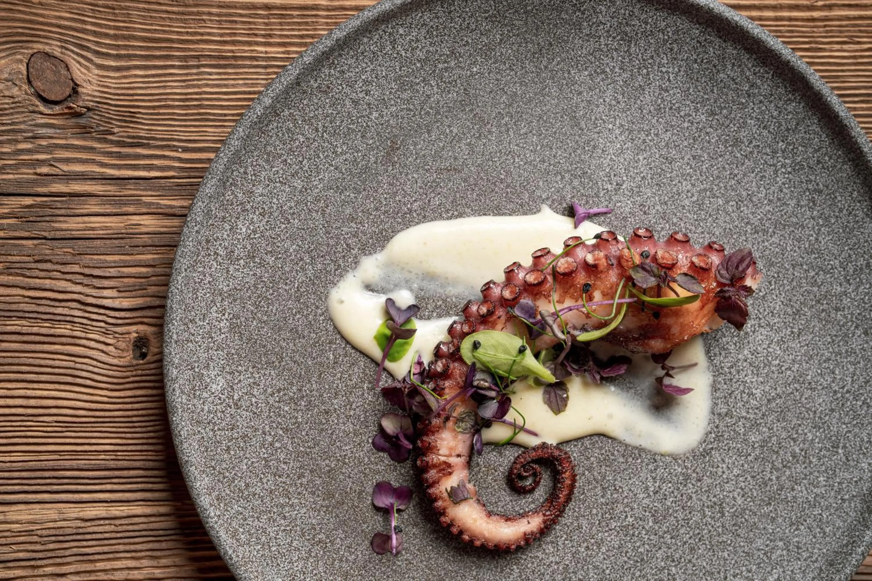 Food in Piccolo - Dolomites & Gourmet Hotel