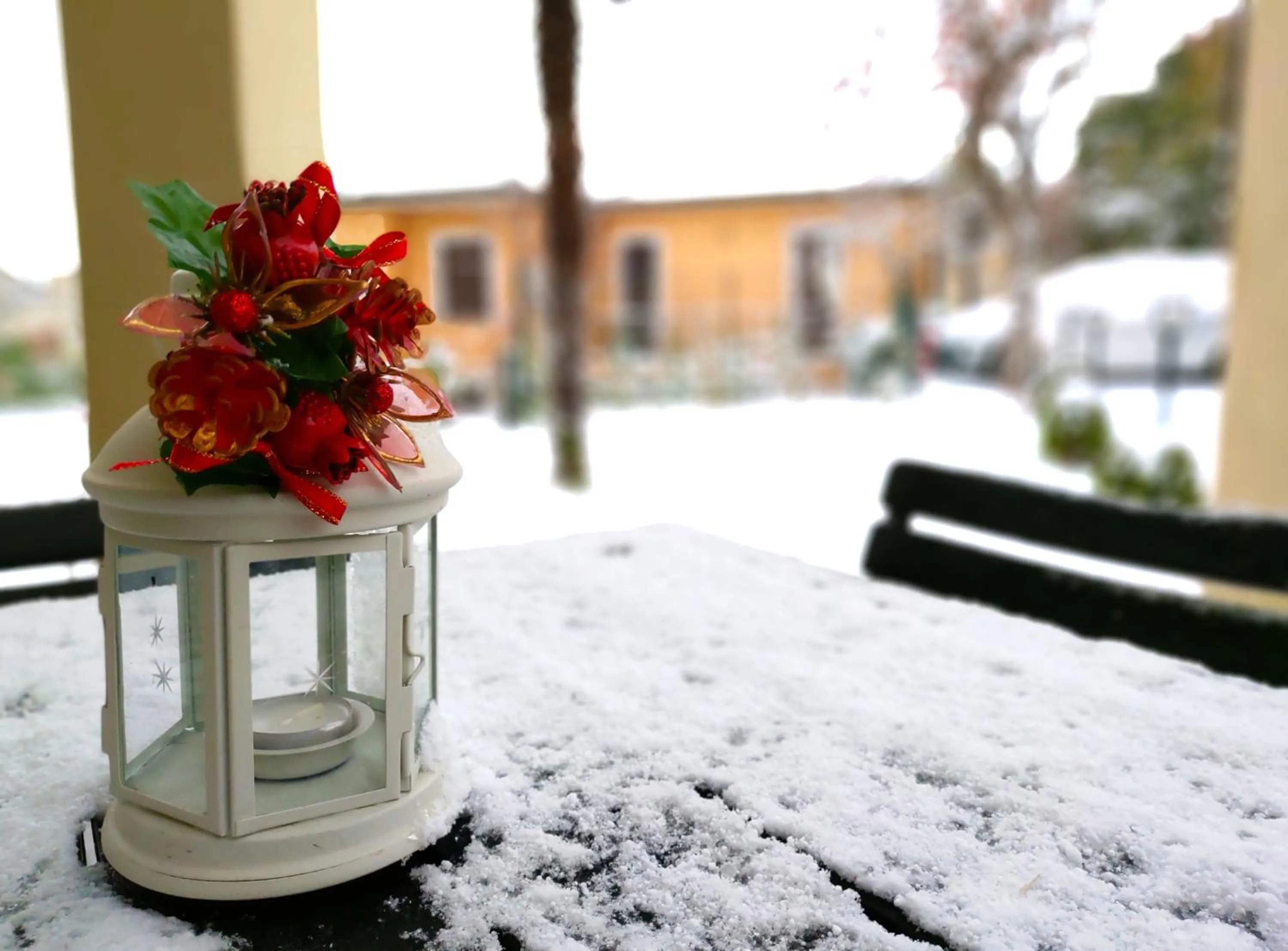 Patio in B&B Villa Diana