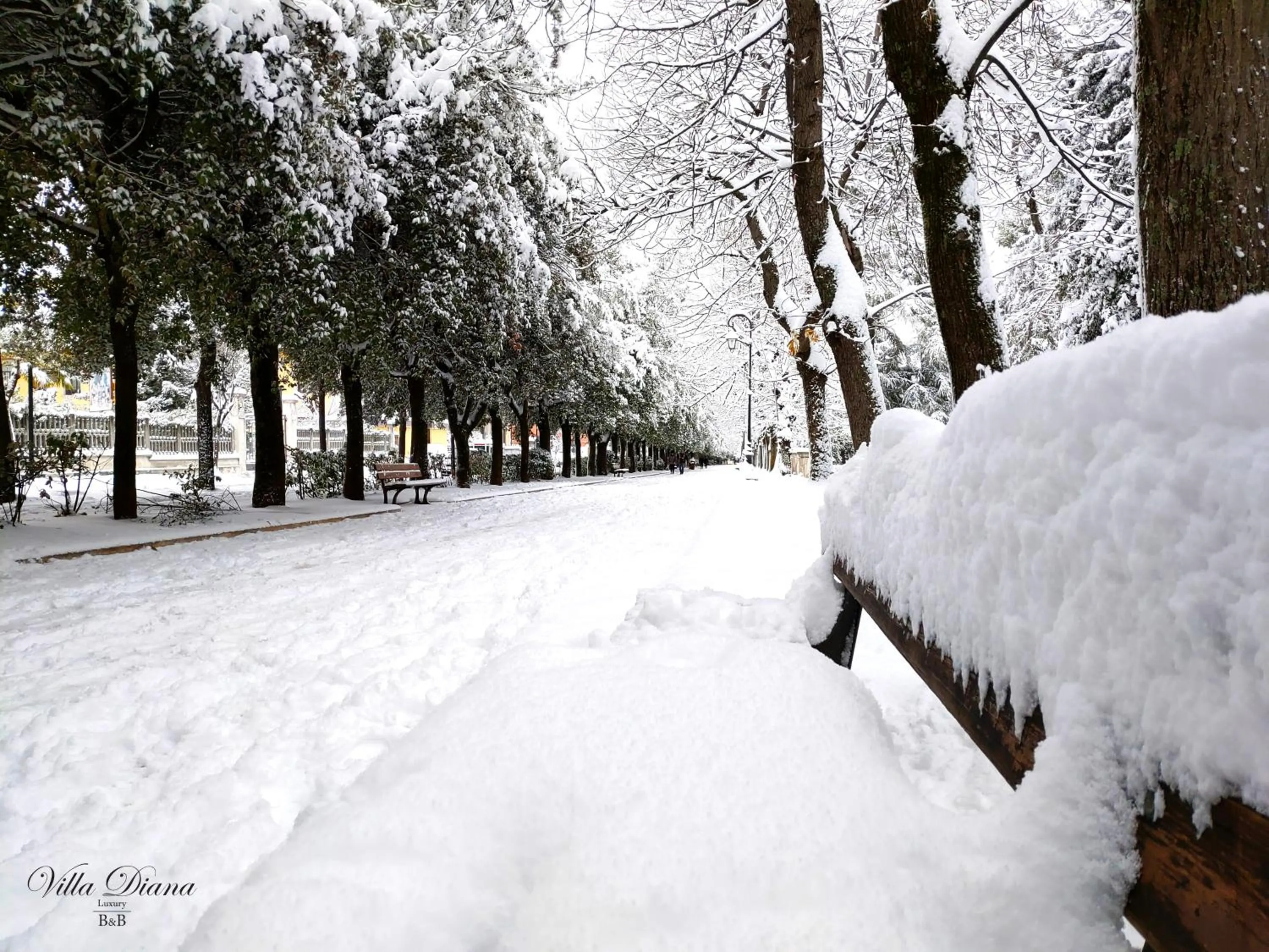 Natural landscape in B&B Villa Diana