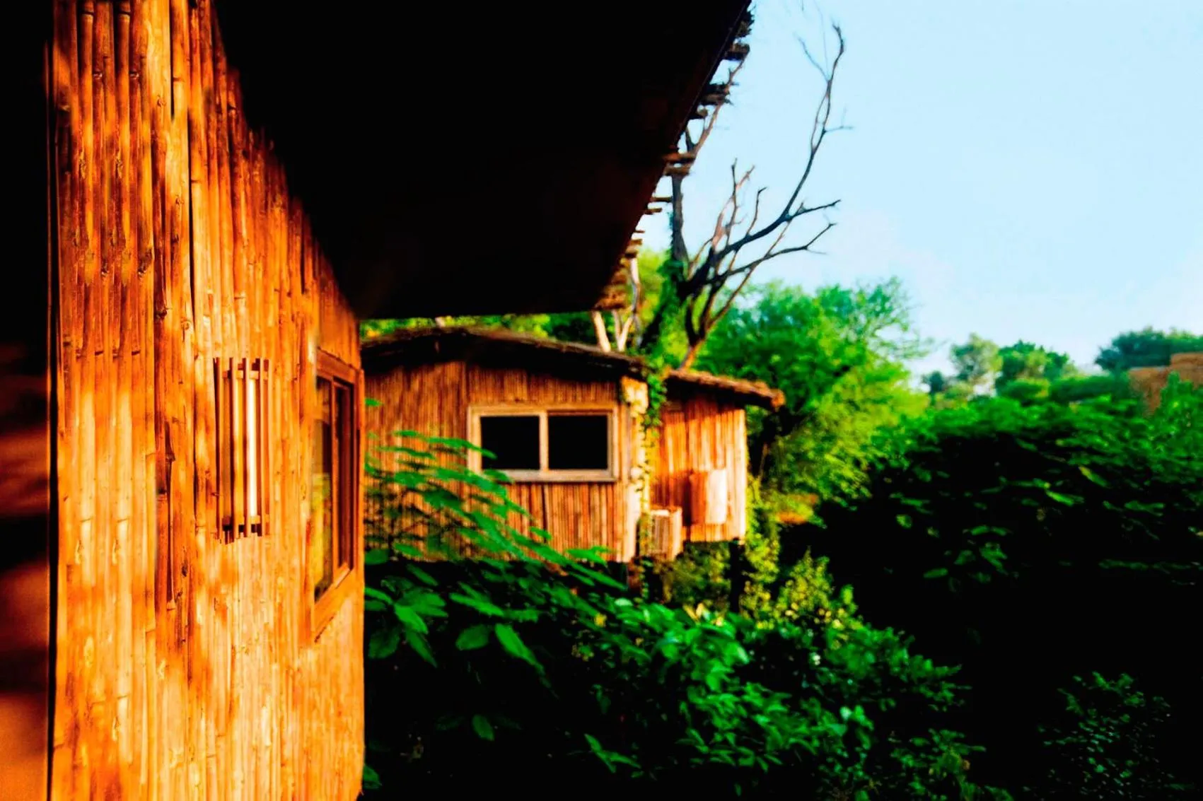 Day in The Tree House Resort, A Club Mahindra Associate