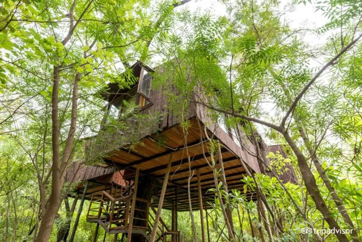Property building in The Tree House Resort, A Club Mahindra Associate