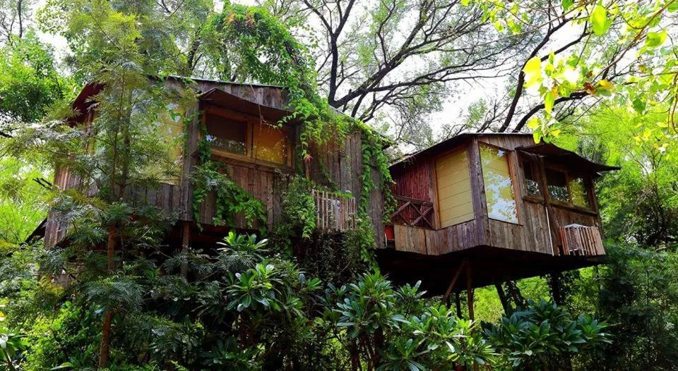 Property building in The Tree House Resort, A Club Mahindra Associate