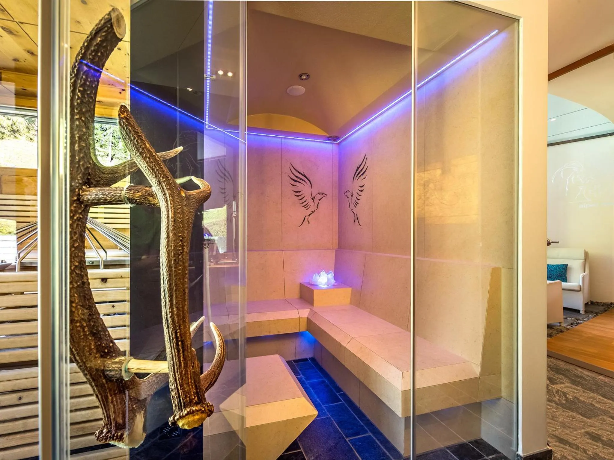 Steam room in Alpinlodge & Spa