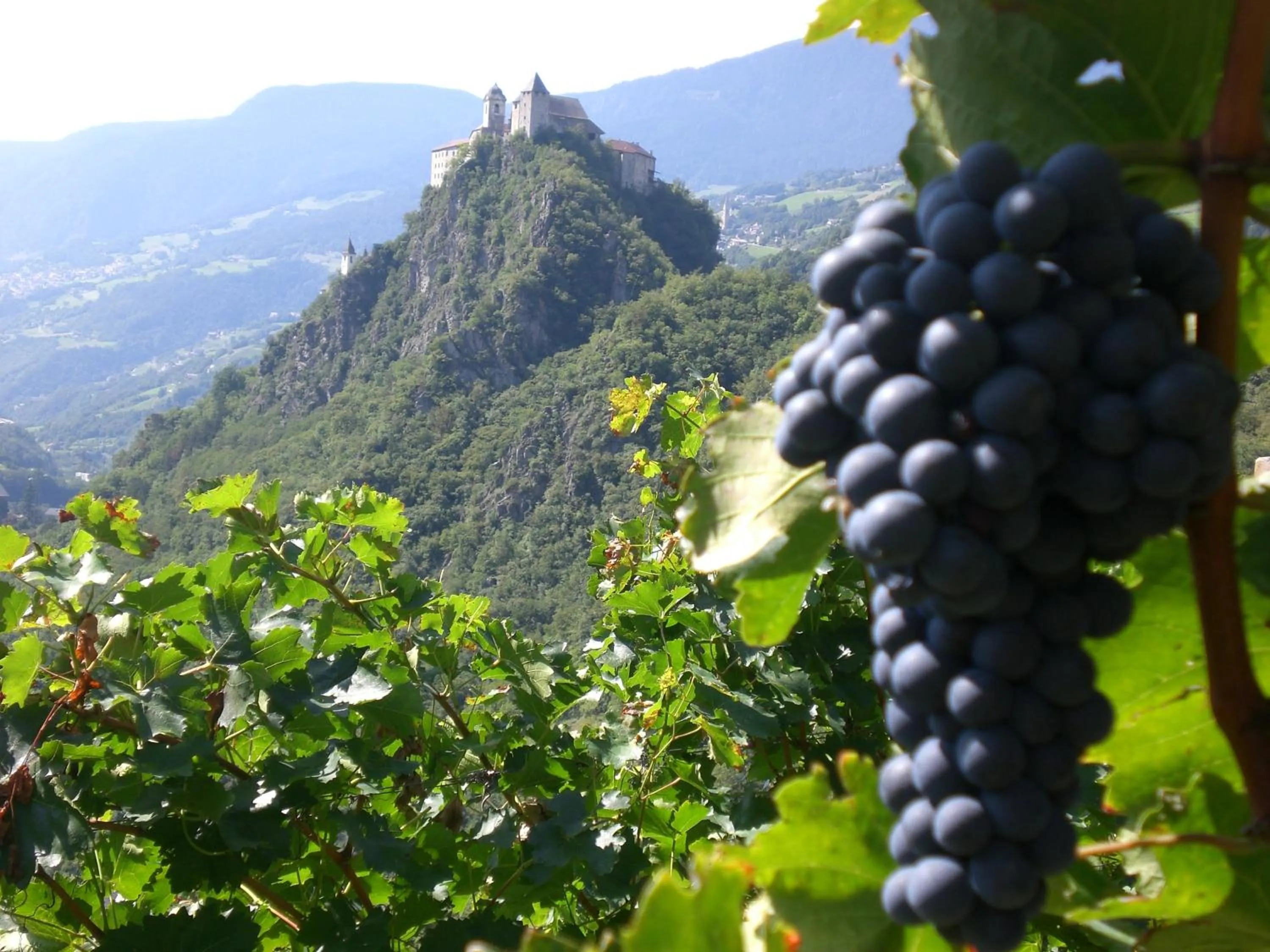 Area and facilities in Hotel Walther v.d. Vogelweide Superior