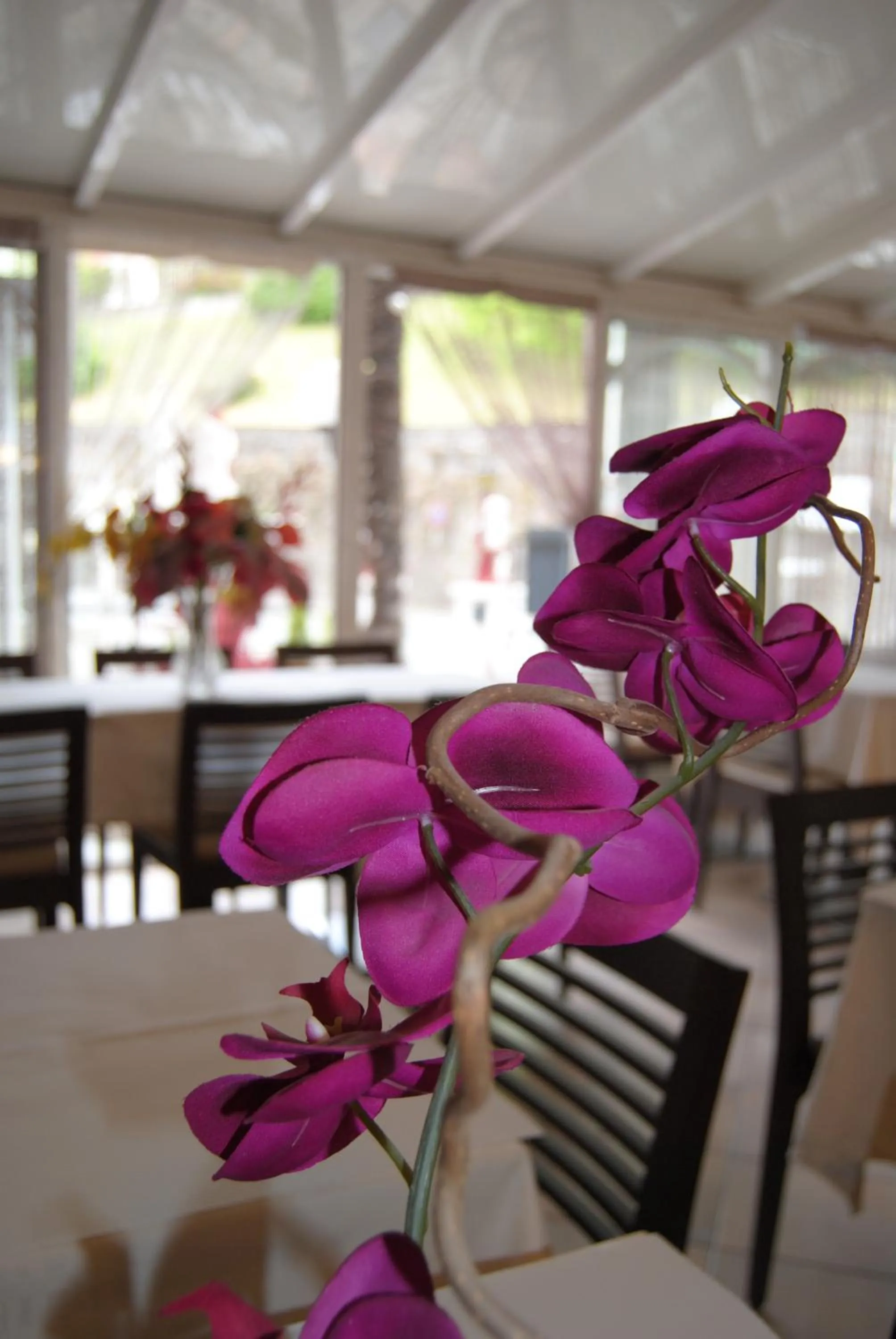 Hôtel Acropolis - Lourdes