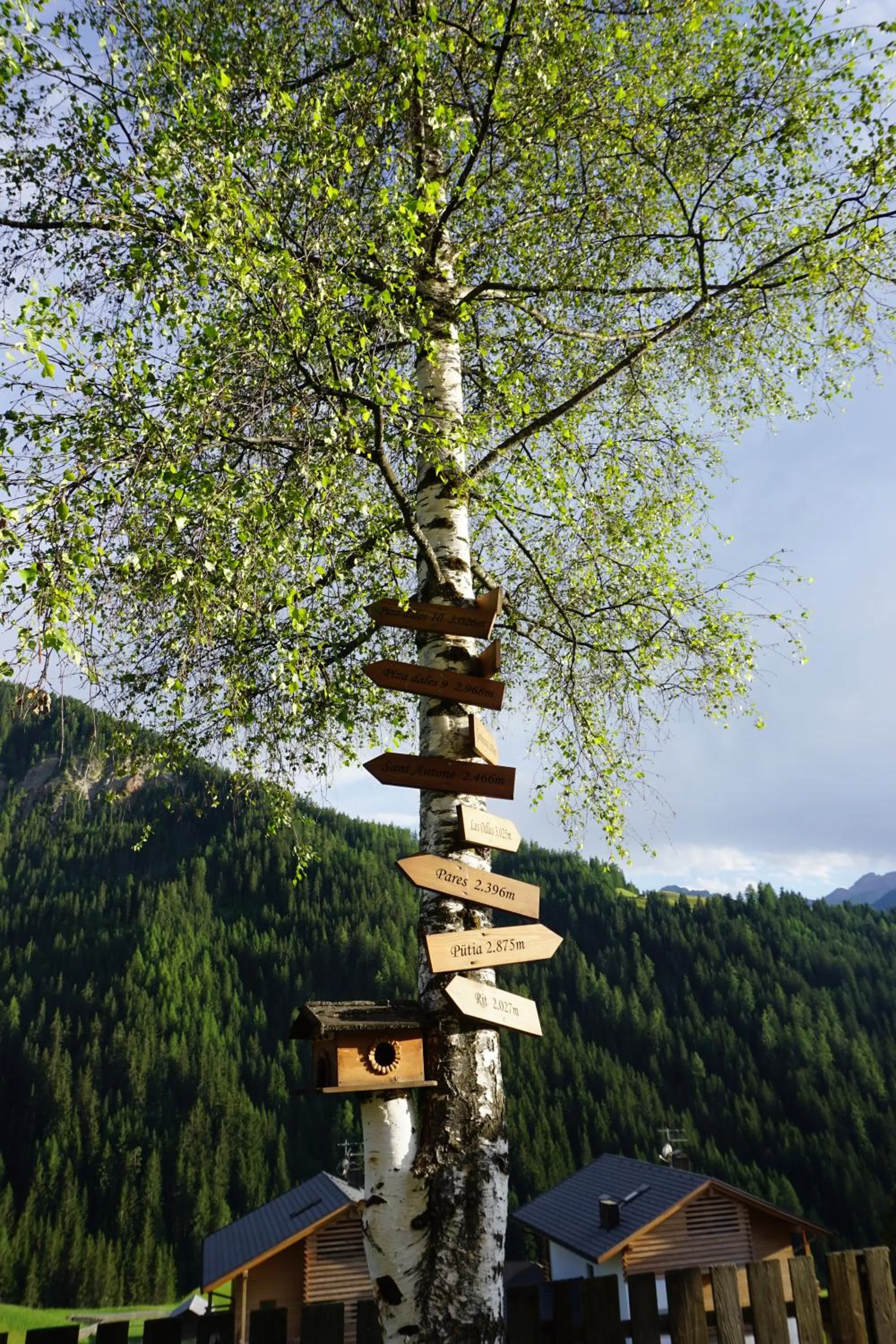 Garden view in La Palsa