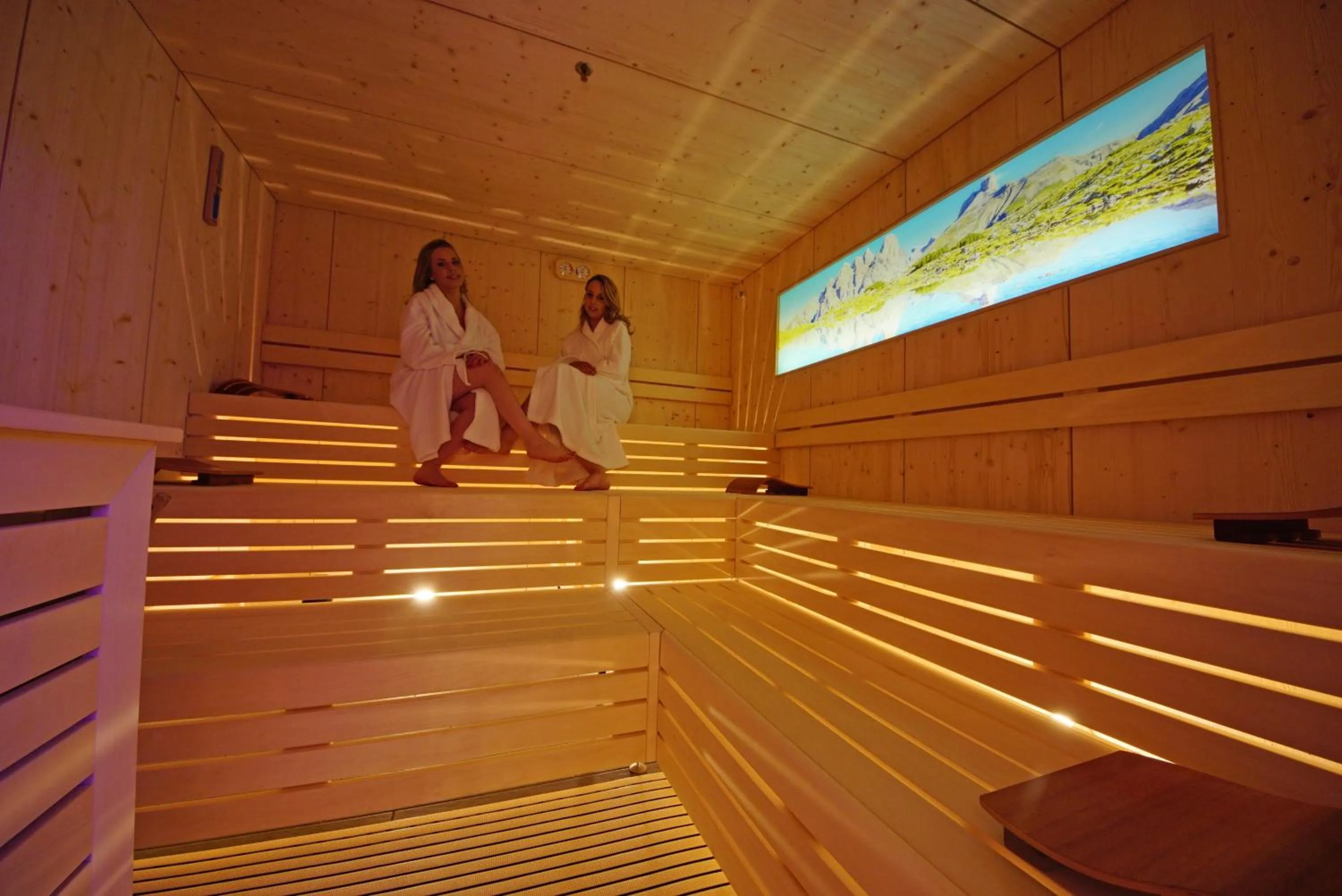 Sauna in La Palsa