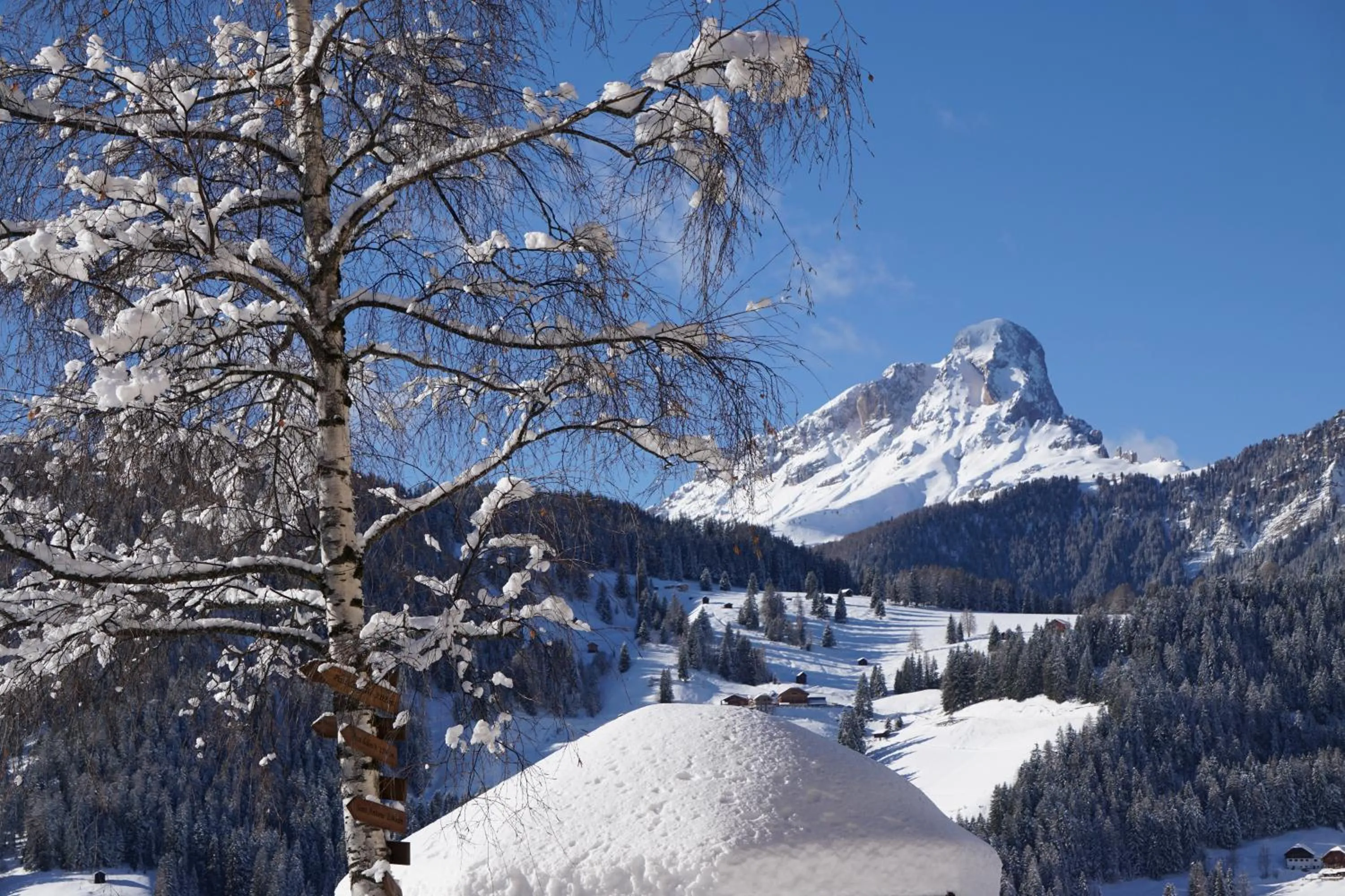 Mountain view in La Palsa