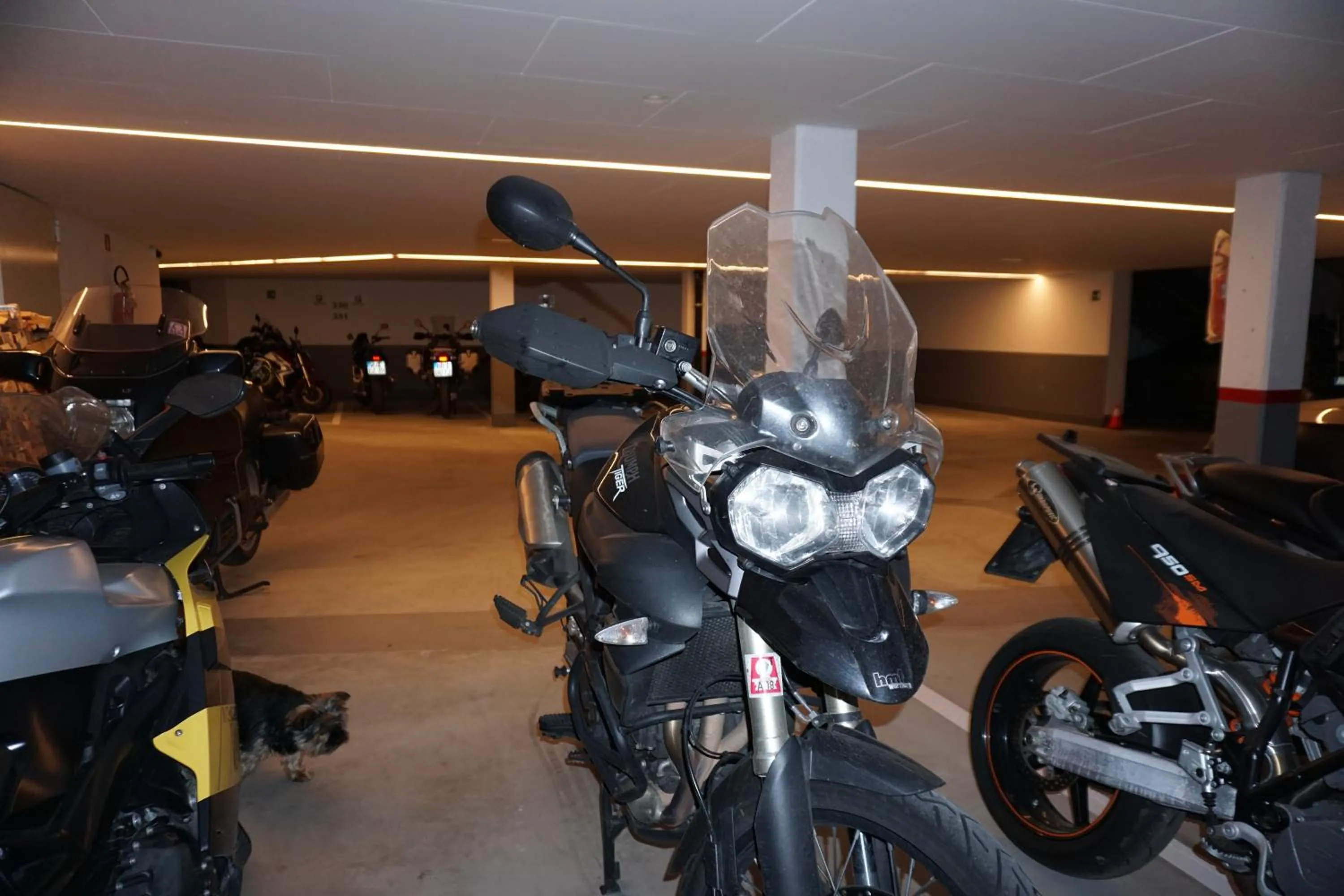 Area and facilities in La Palsa